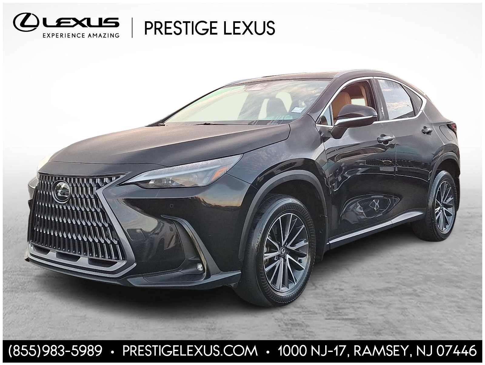 2024 Lexus NX 350