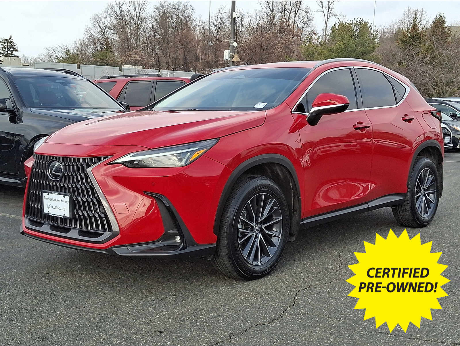2022 Lexus NX Hybrid 350h's photo