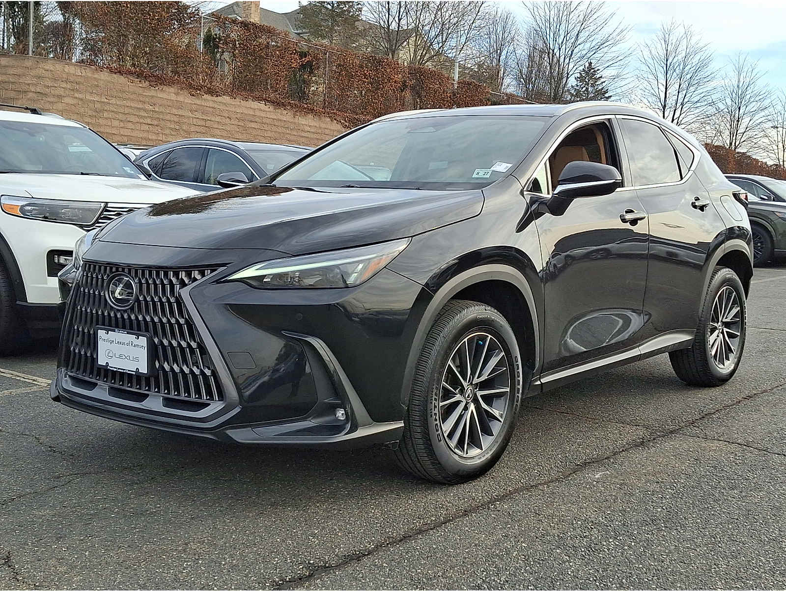 2024 Lexus NX Hybrid 350h's photo