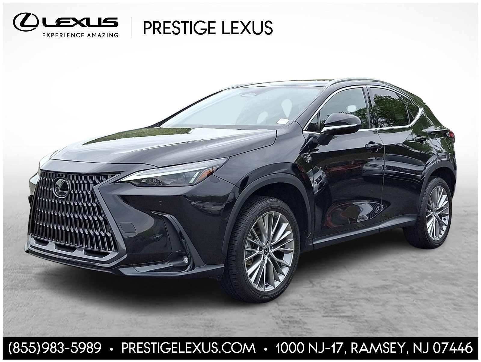 2025 Lexus NX Hybrid