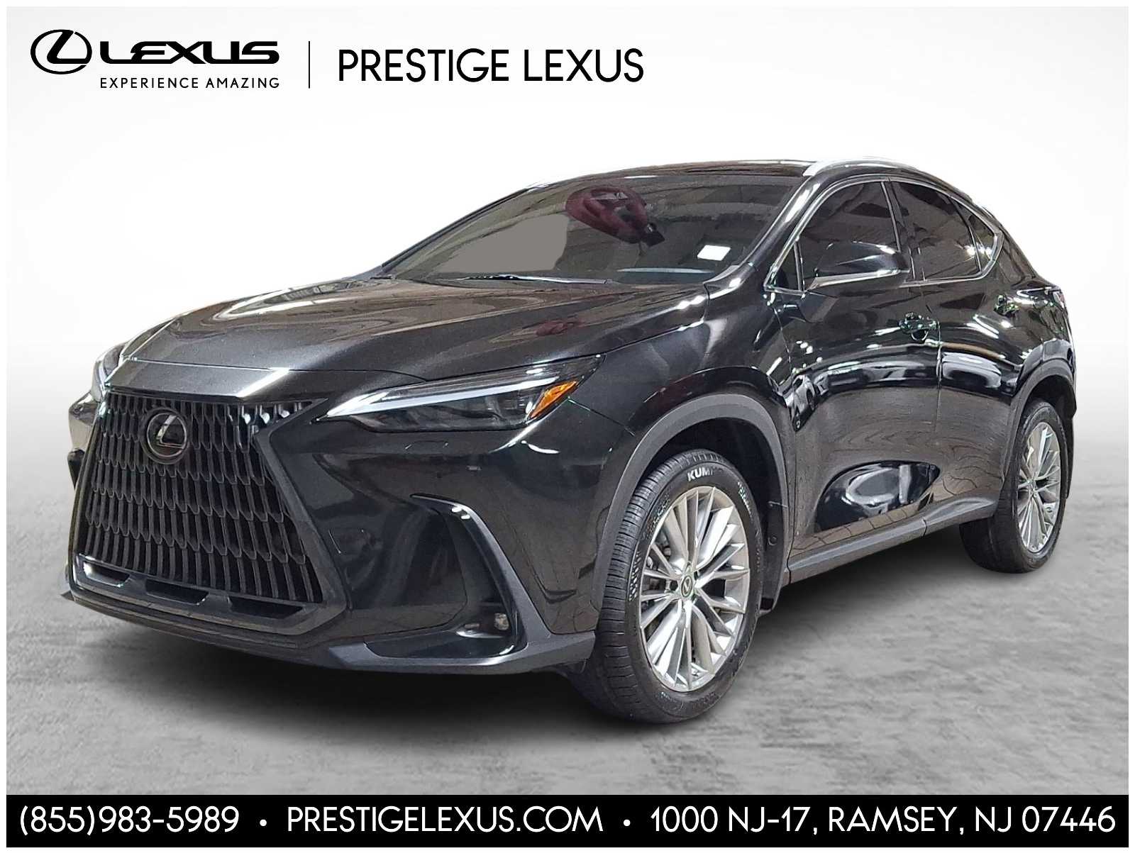 2023 Lexus NX