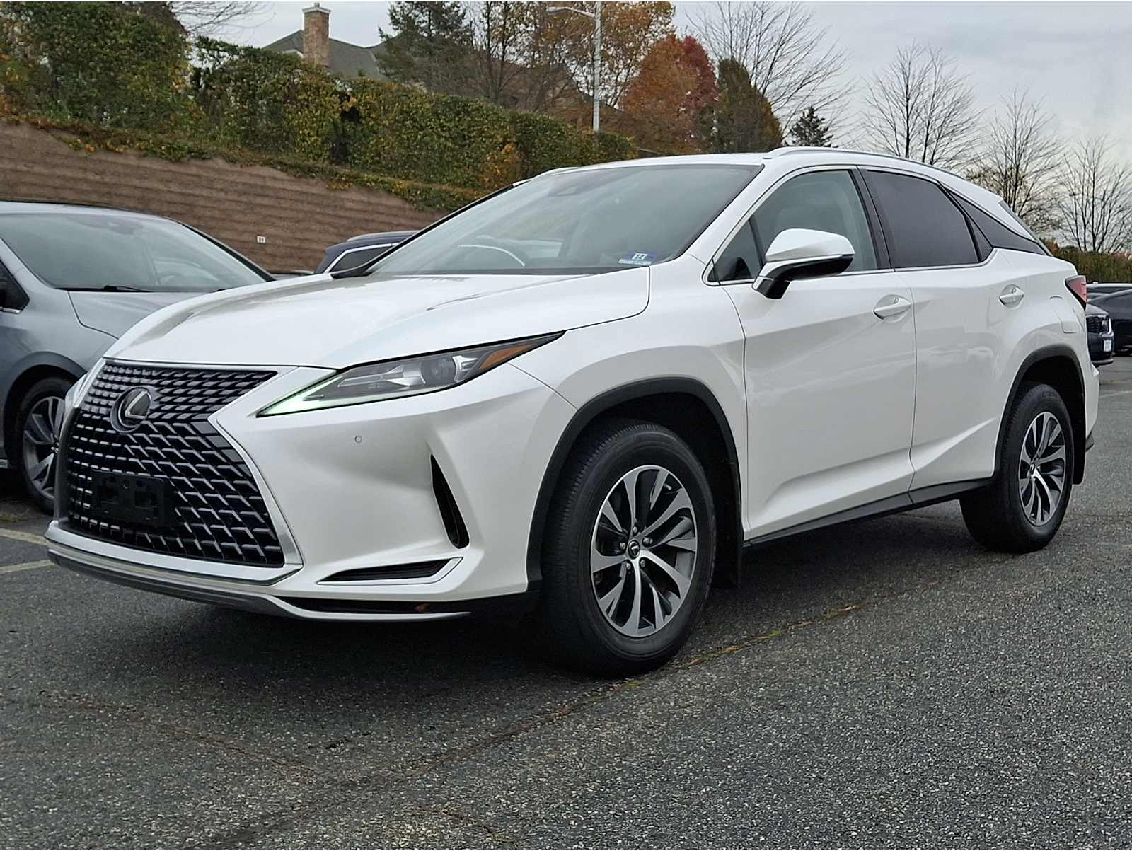 2020 Lexus RX 350's photo