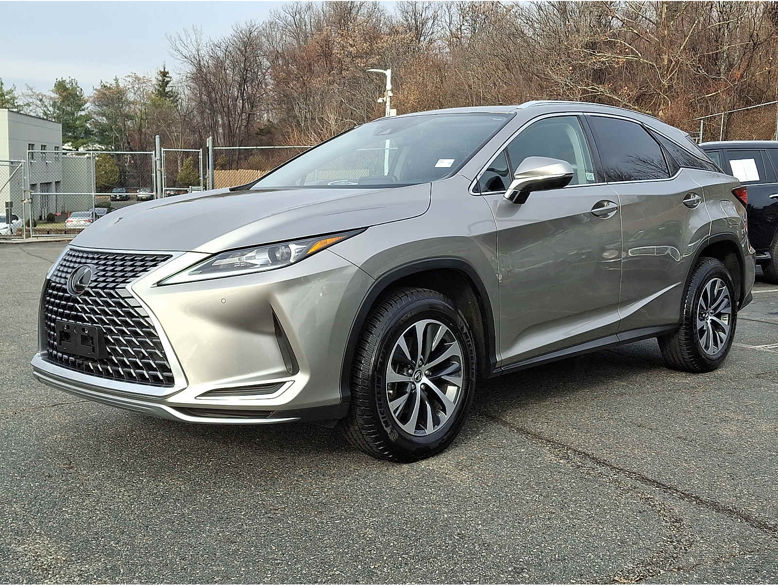 2020 Lexus RX 350's photo