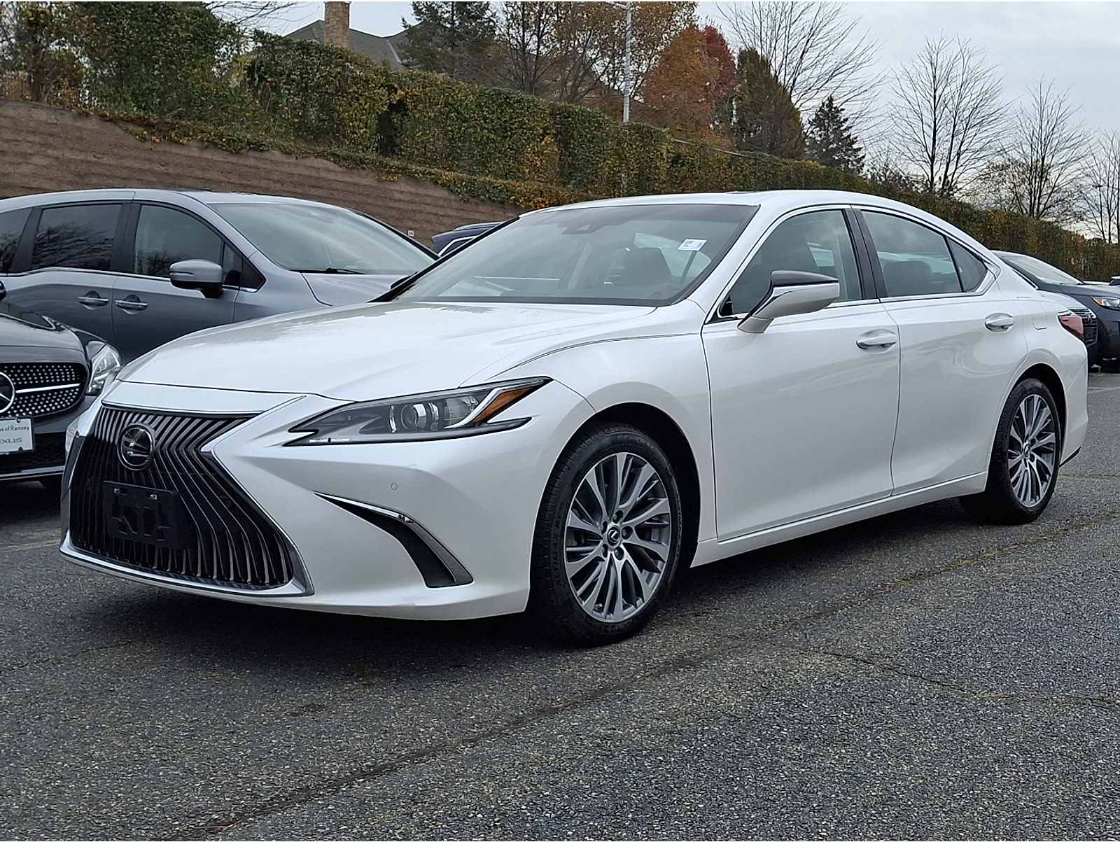 2019 Lexus ES 350's photo