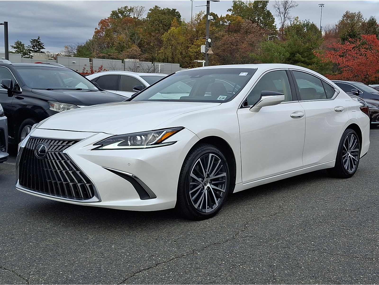 2023 Lexus ES 350's photo