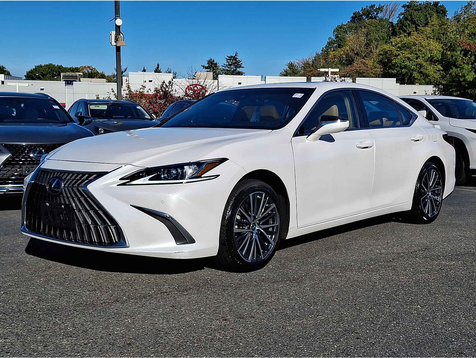 2023 Lexus ES 350's photo