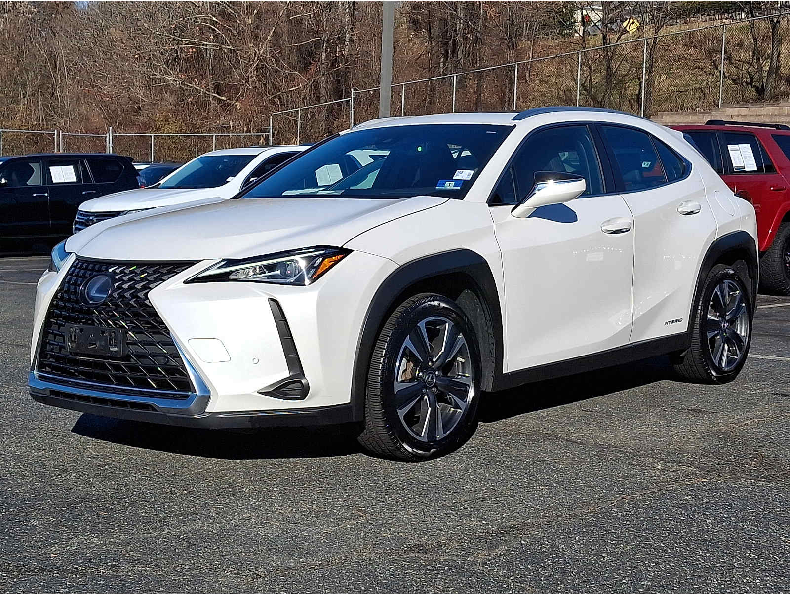 2019 Lexus UX Hybrid 250h's photo