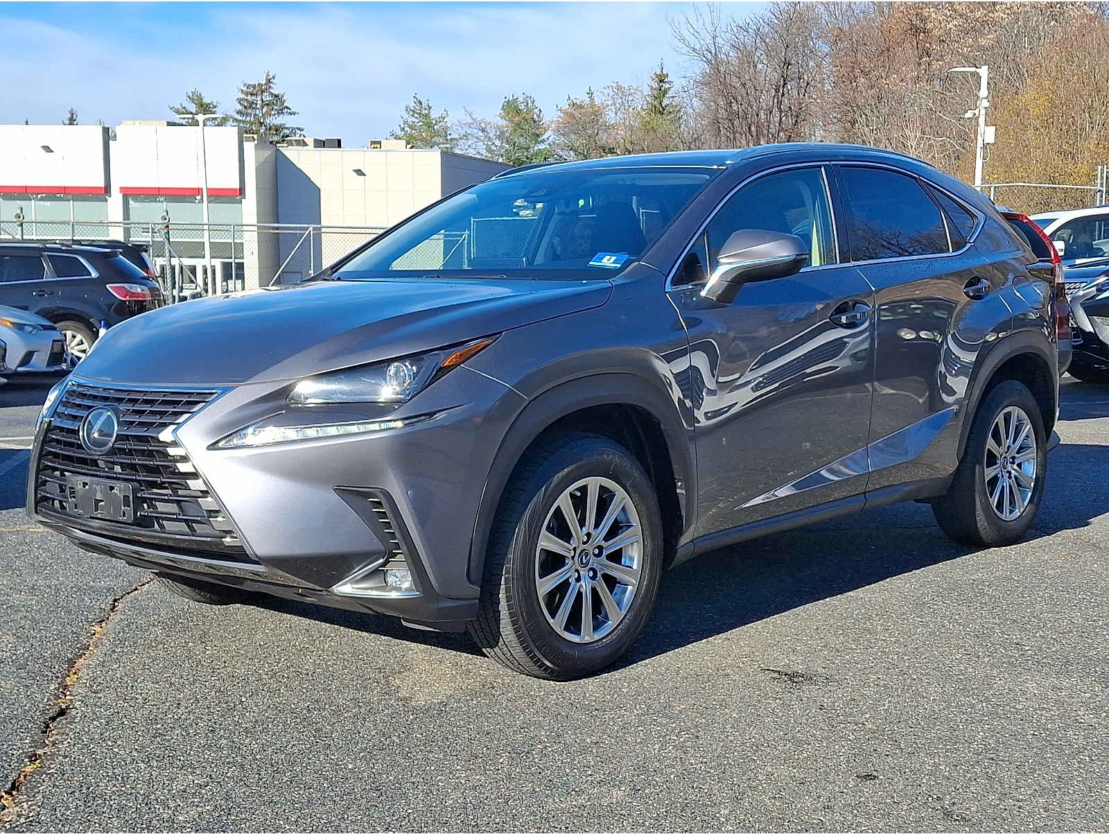 2020 Lexus NX 300's photo