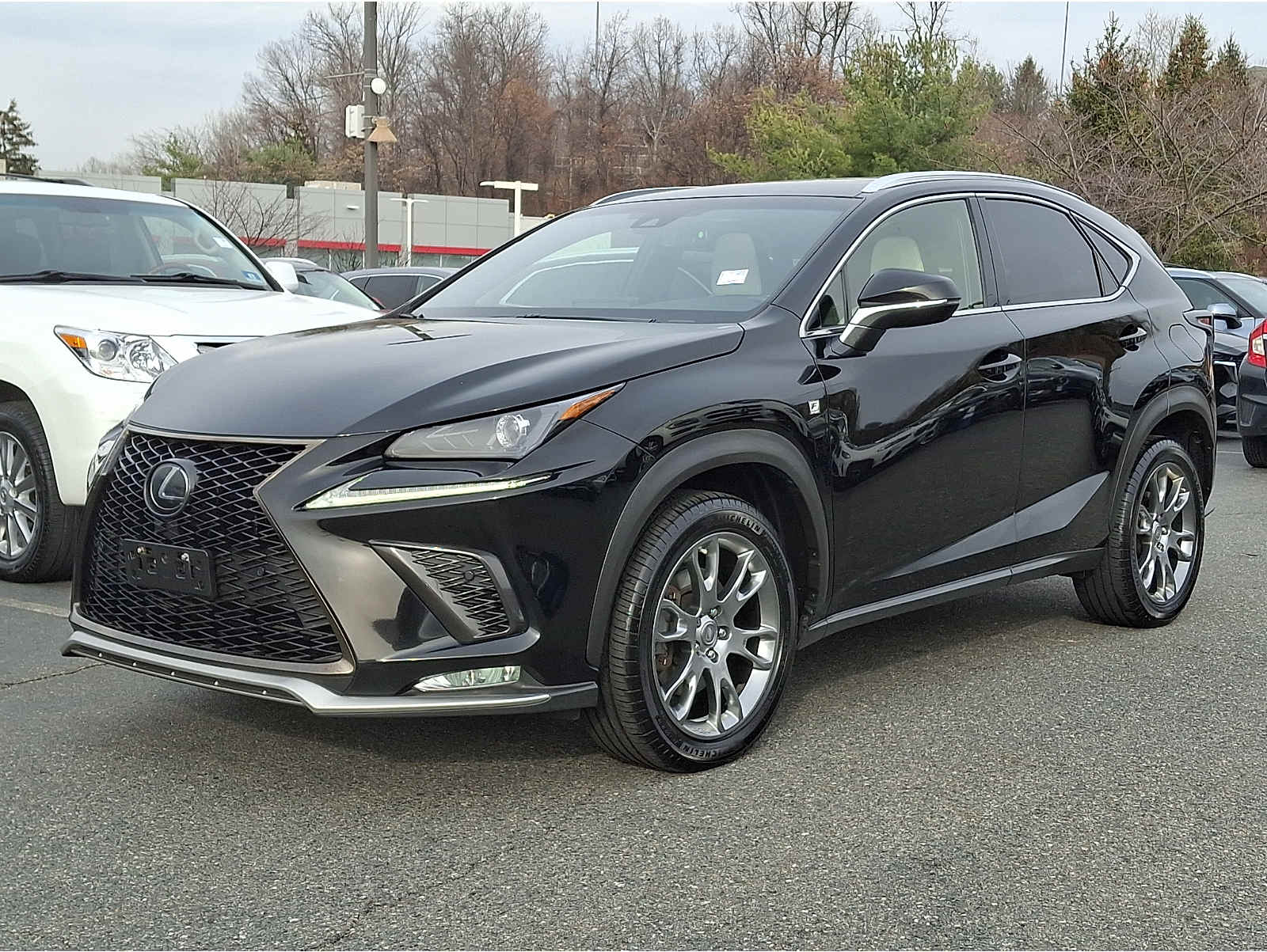2019 Lexus NX 300 F SPORT's photo