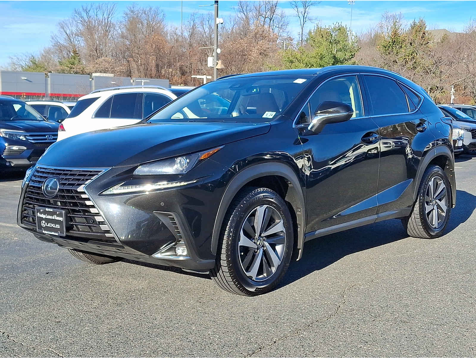 2019 Lexus NX 300's photo