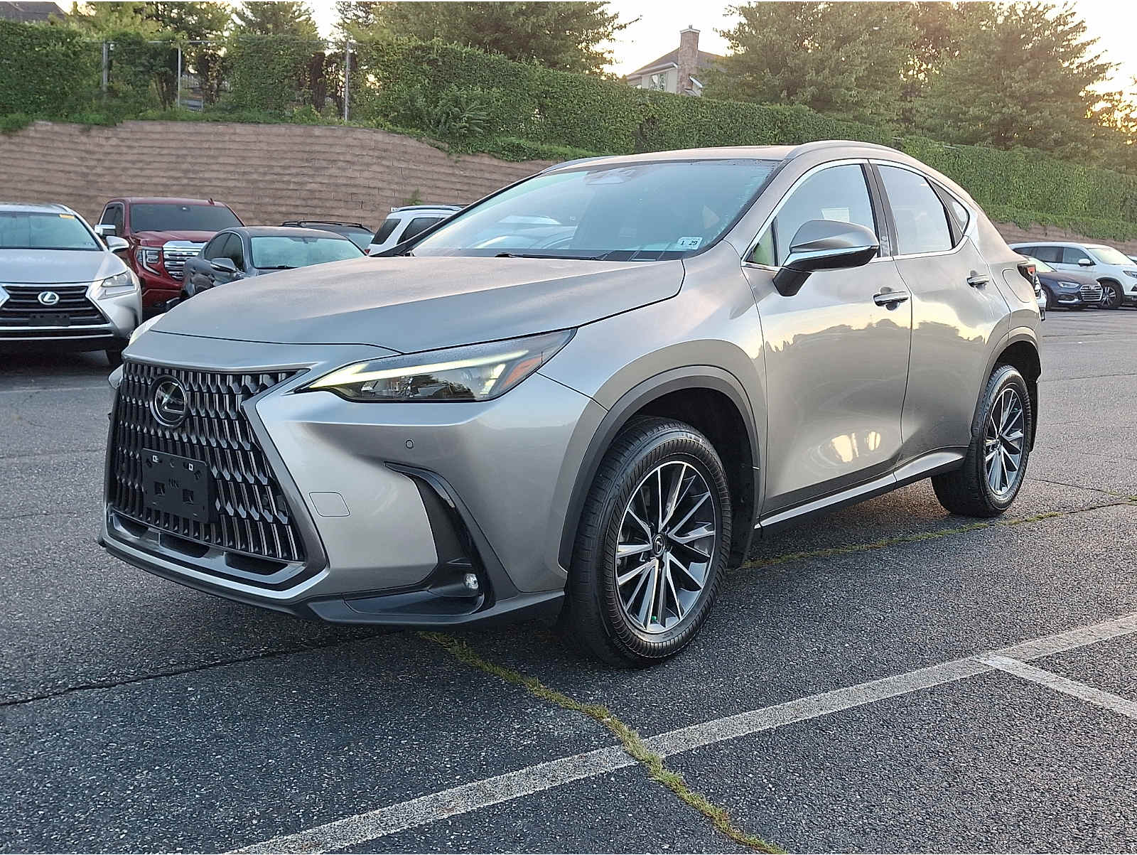 2024 Lexus NX Hybrid
