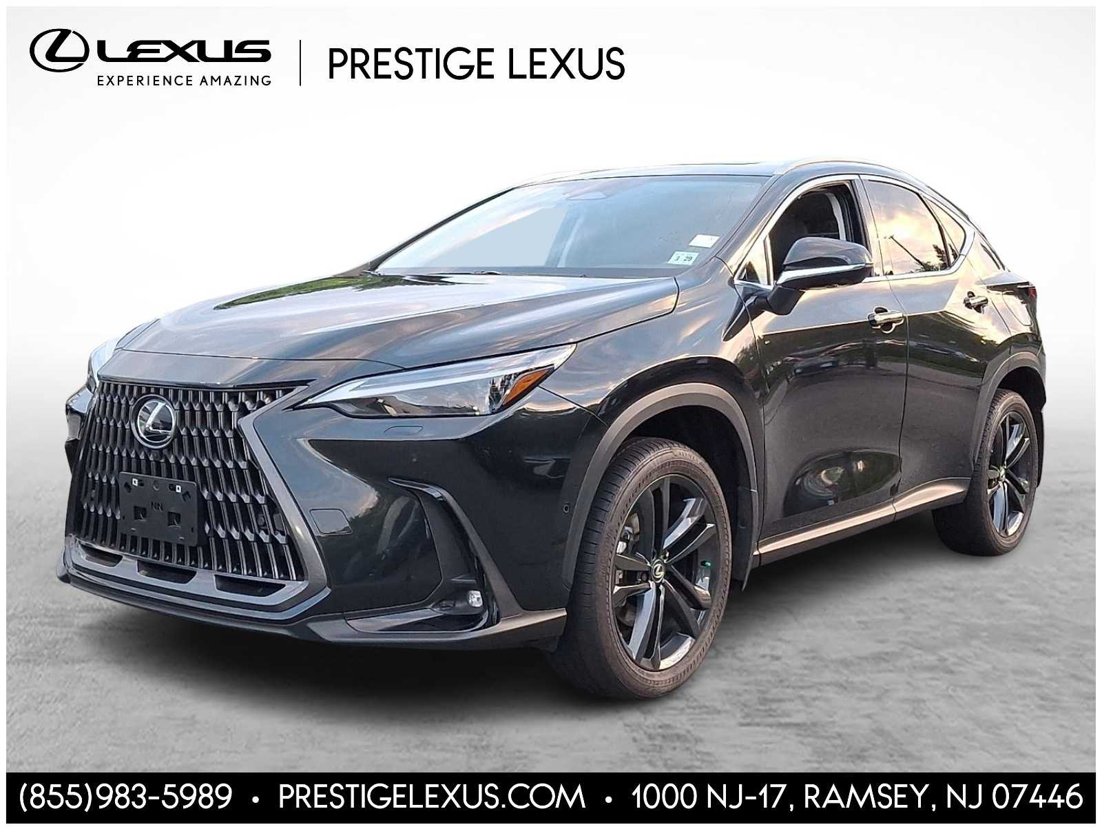 2024 Lexus NX PHEV