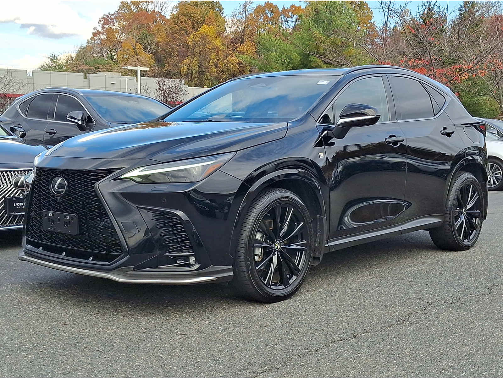2024 Lexus NX PHEV 450h+'s photo