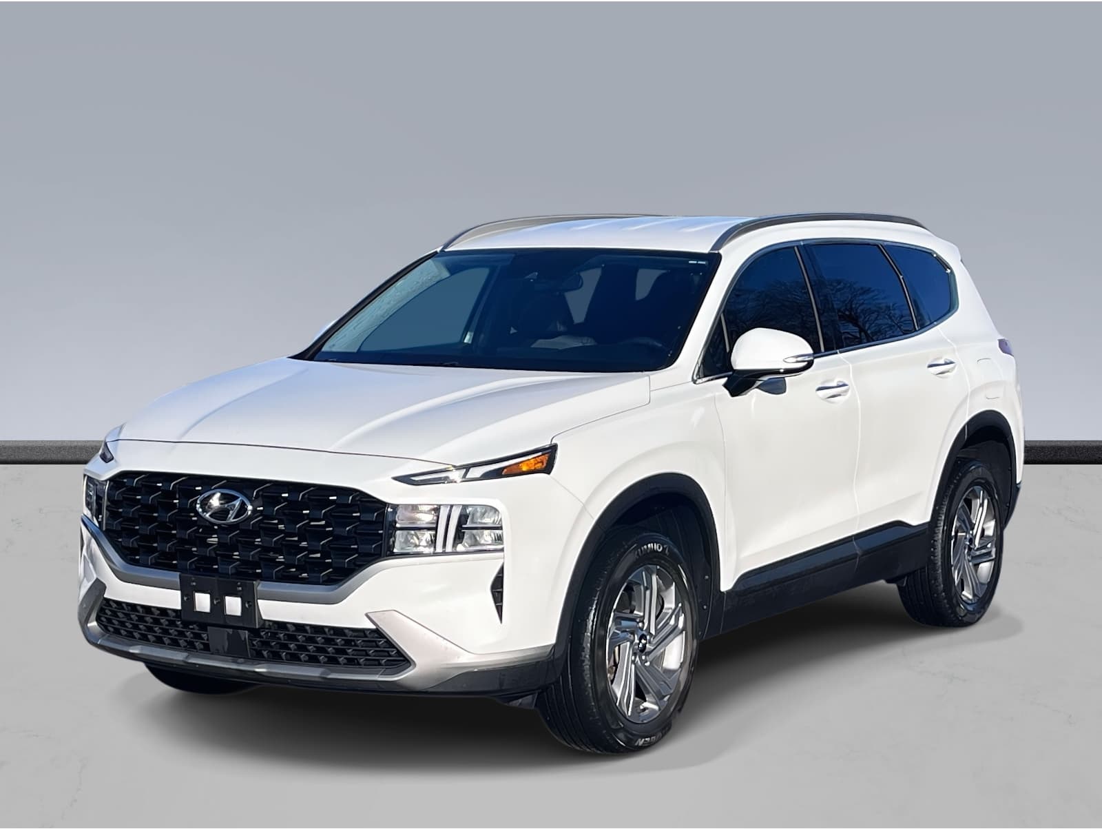 2023 Hyundai Santa Fe SEL's photo