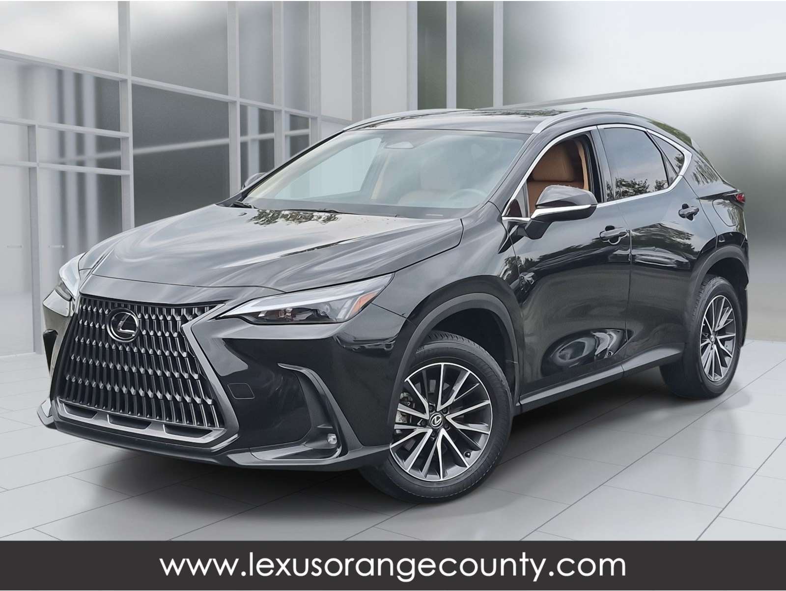 2024 Lexus NX