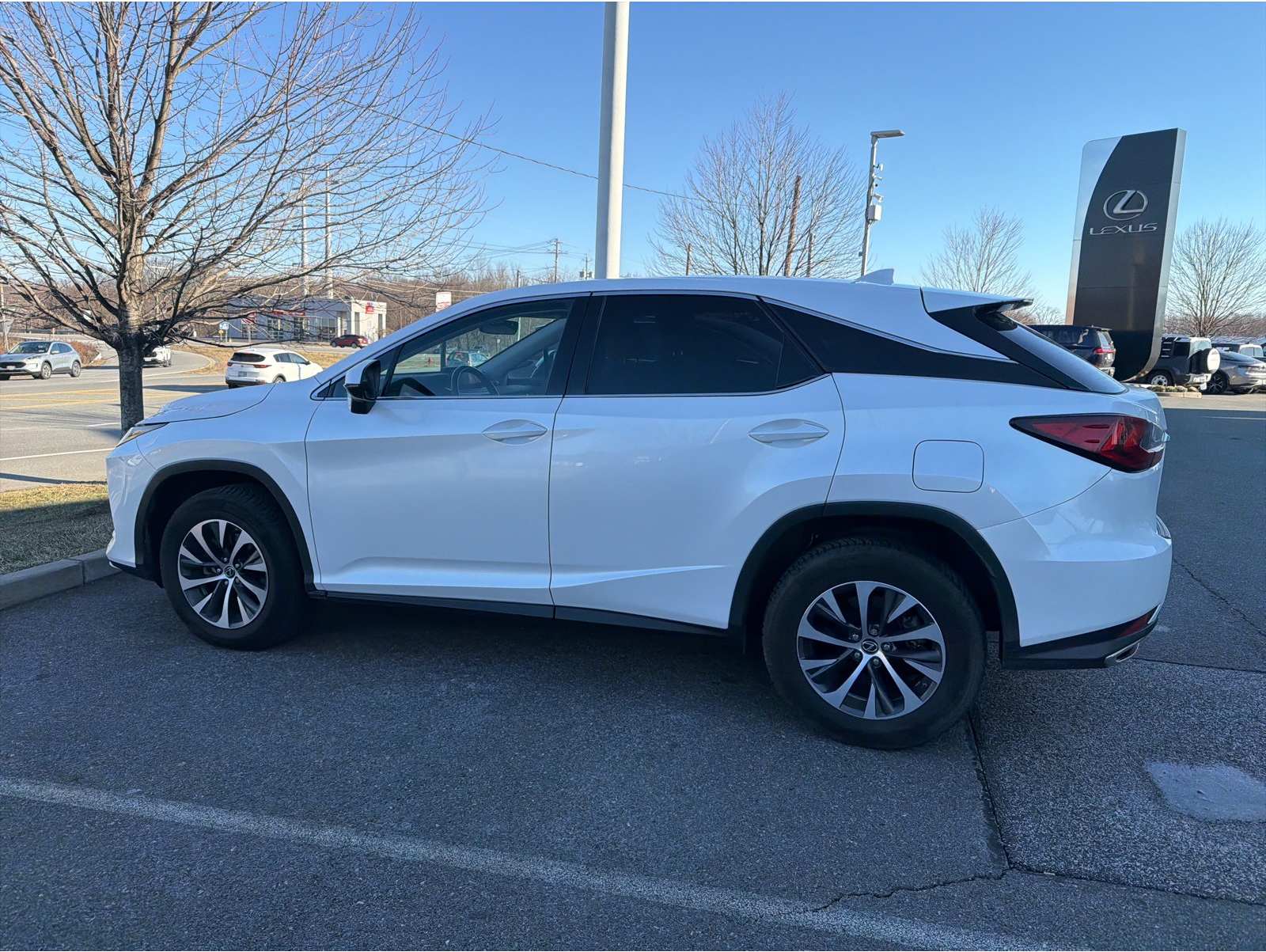 2021 Lexus RX 350's photo