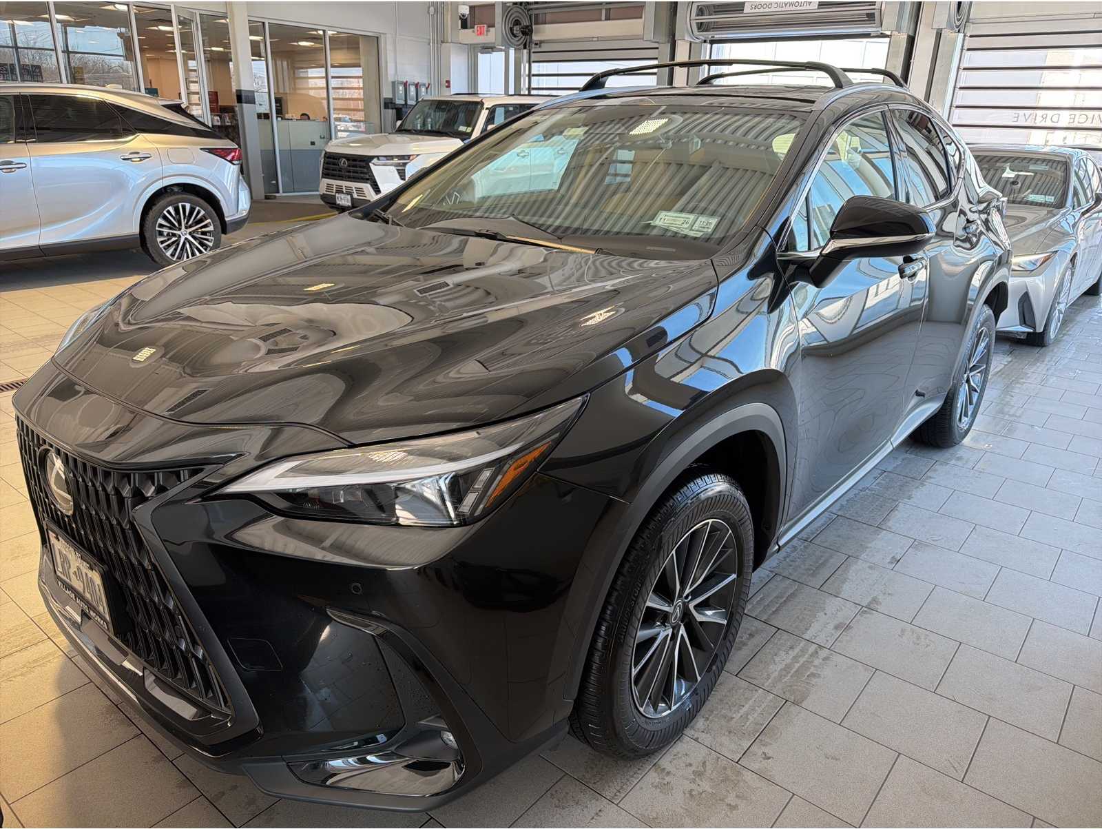 2025 Lexus NX 350