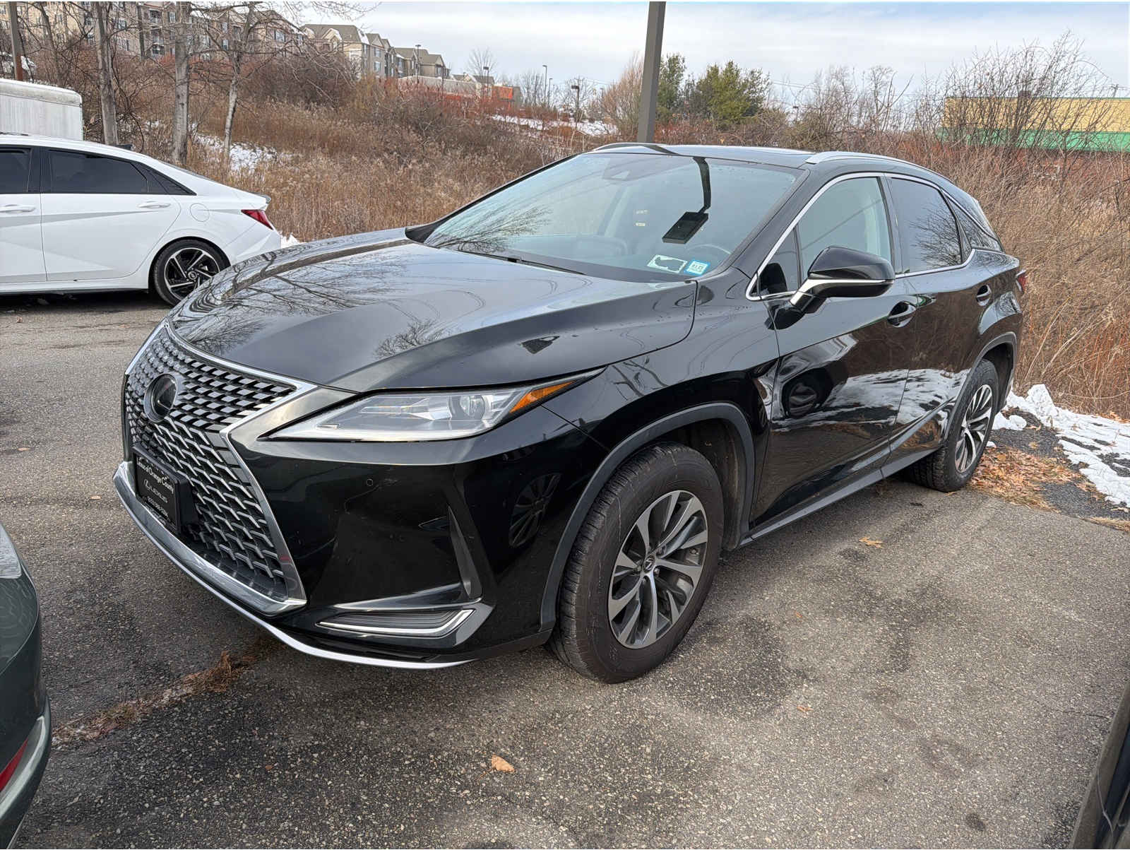 2020 Lexus RX 350's photo