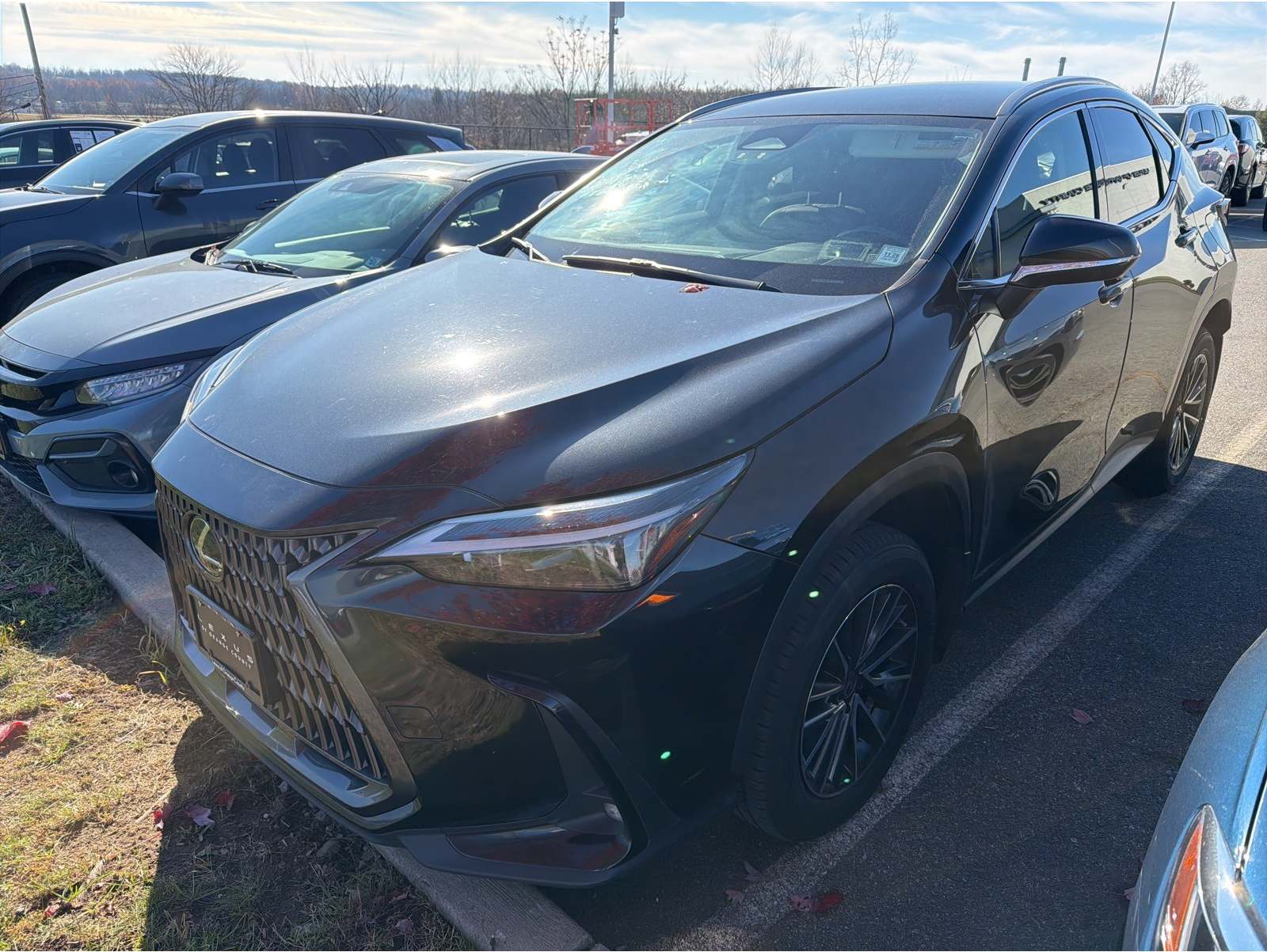 2022 Lexus NX 250's photo