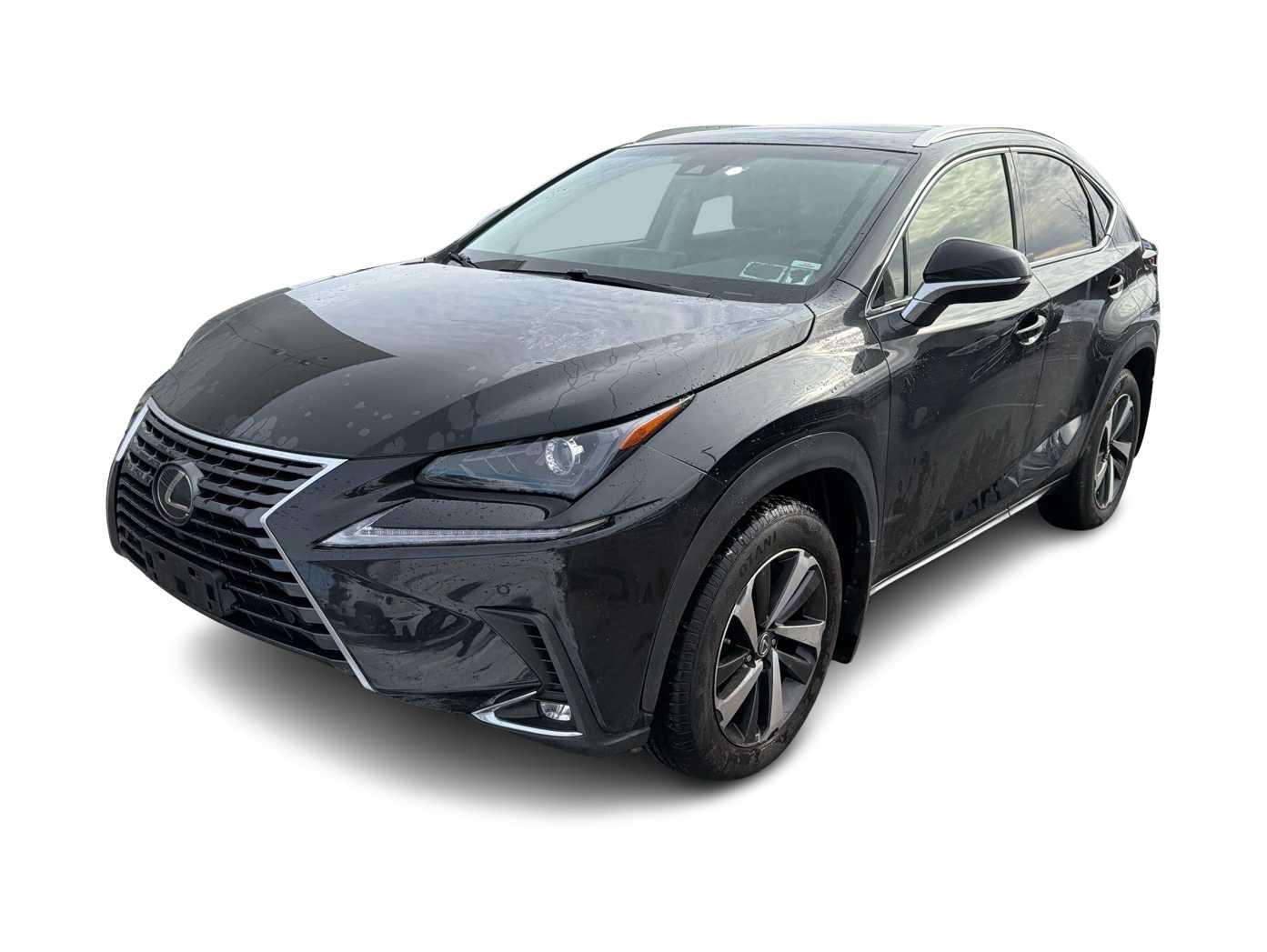 Thumbnail: 2019 Lexus NX - 1