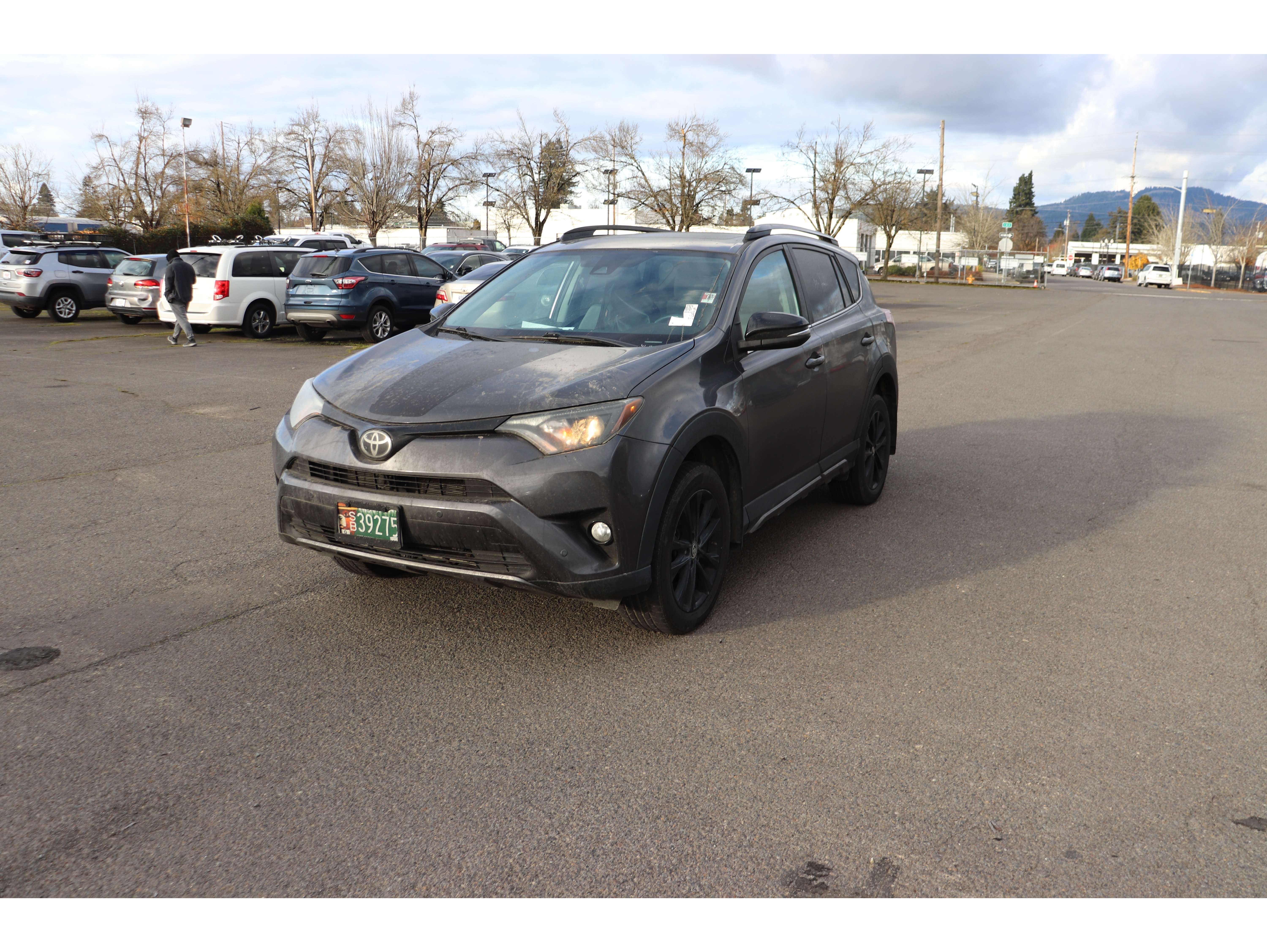 2018 Toyota RAV4 Adventure's photo