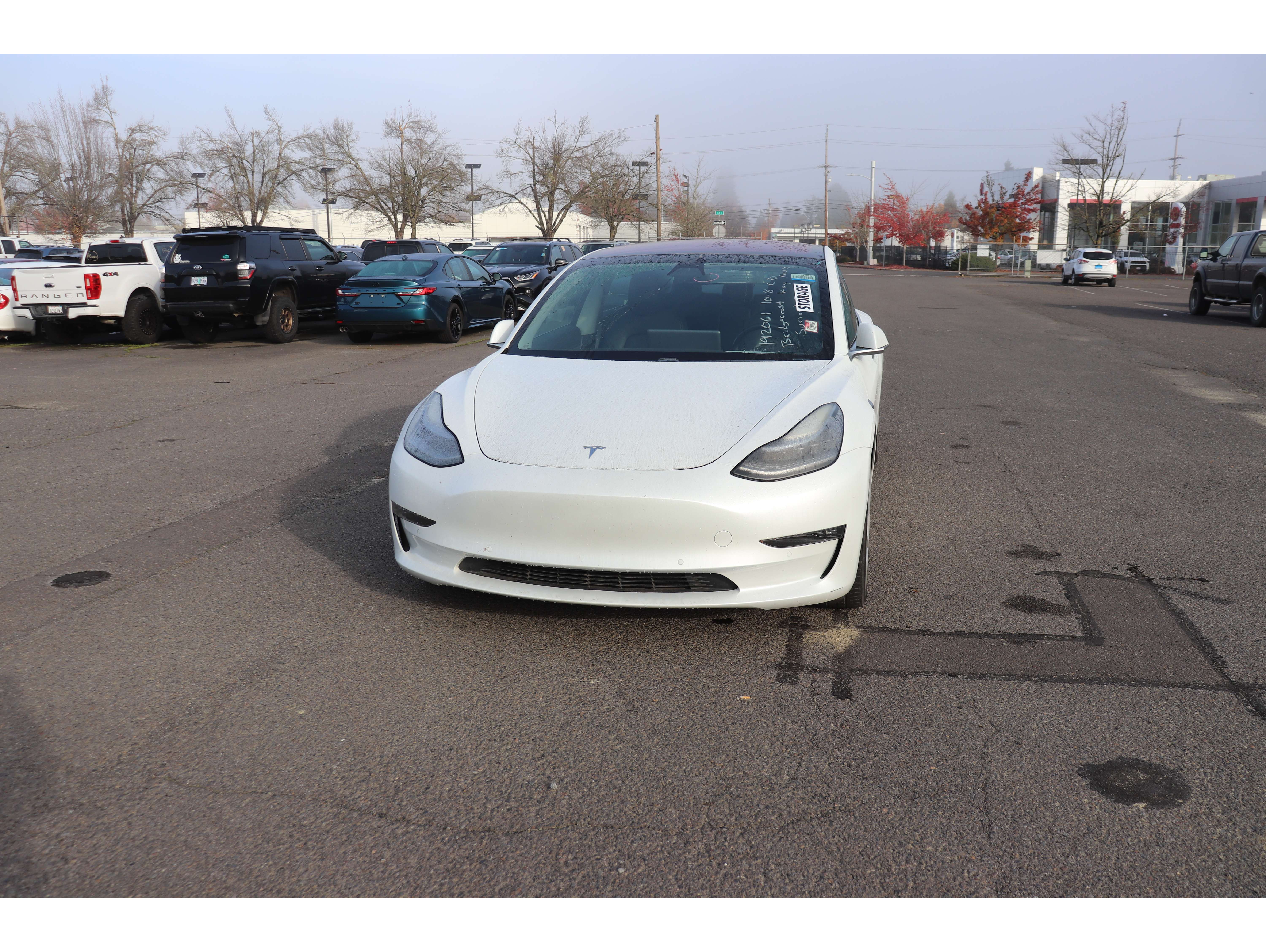 2019 Tesla Model 3 Long Range's photo