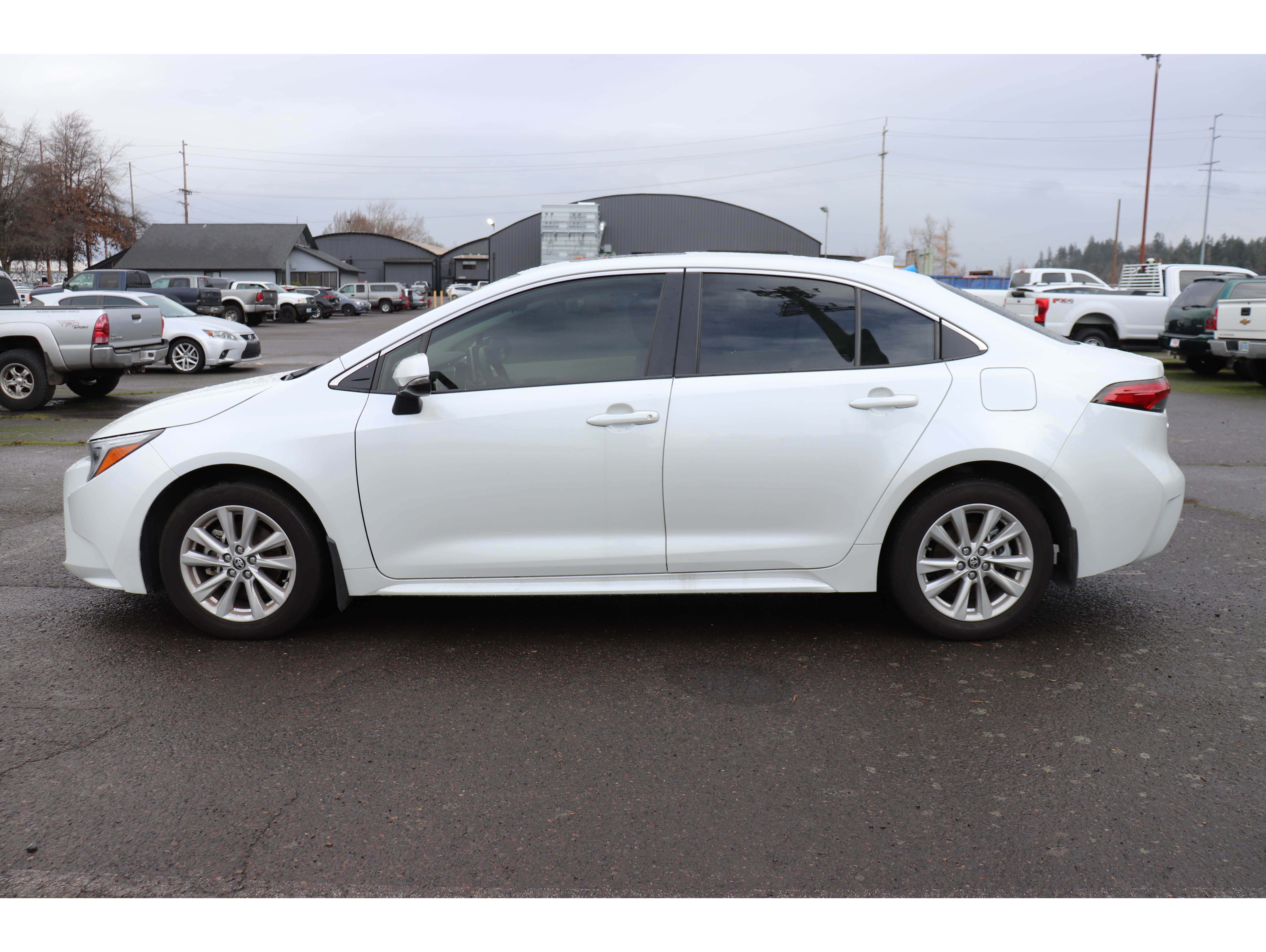 2024 Toyota Corolla XLE's photo