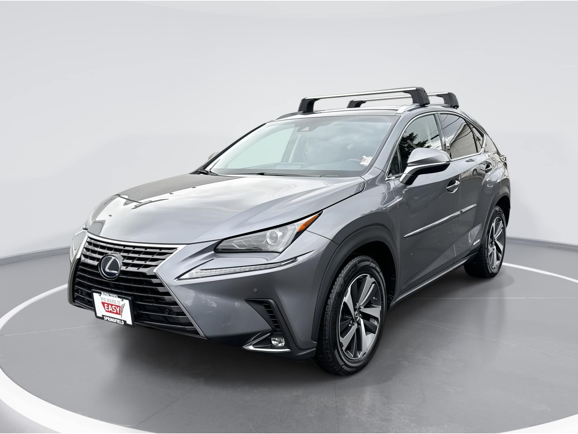 2019 Lexus NX Hybrid 300h's photo