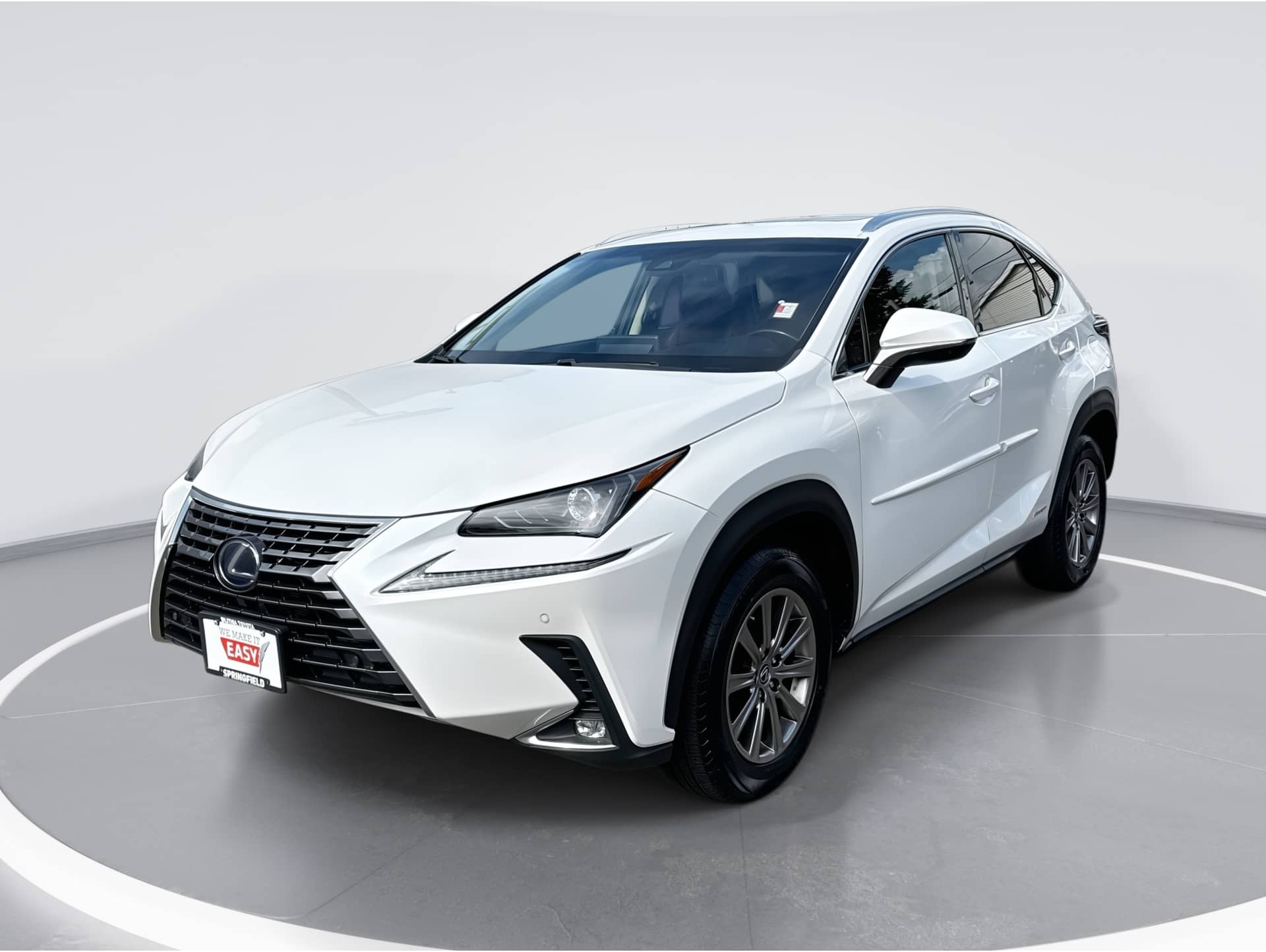 2018 Lexus NX 300h's photo