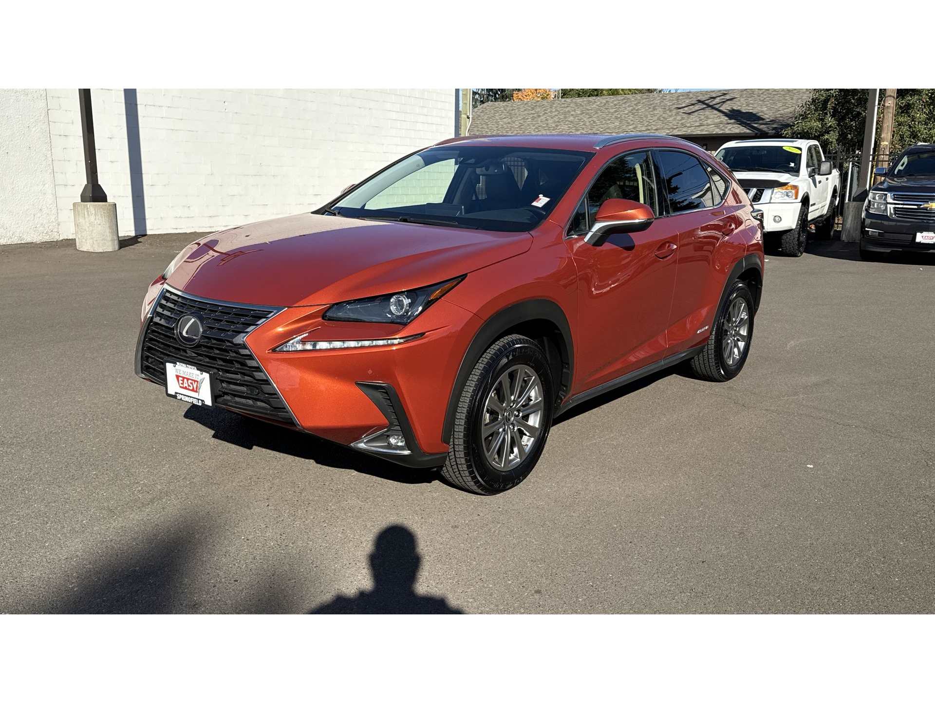 2020 Lexus NX Hybrid 300h's photo