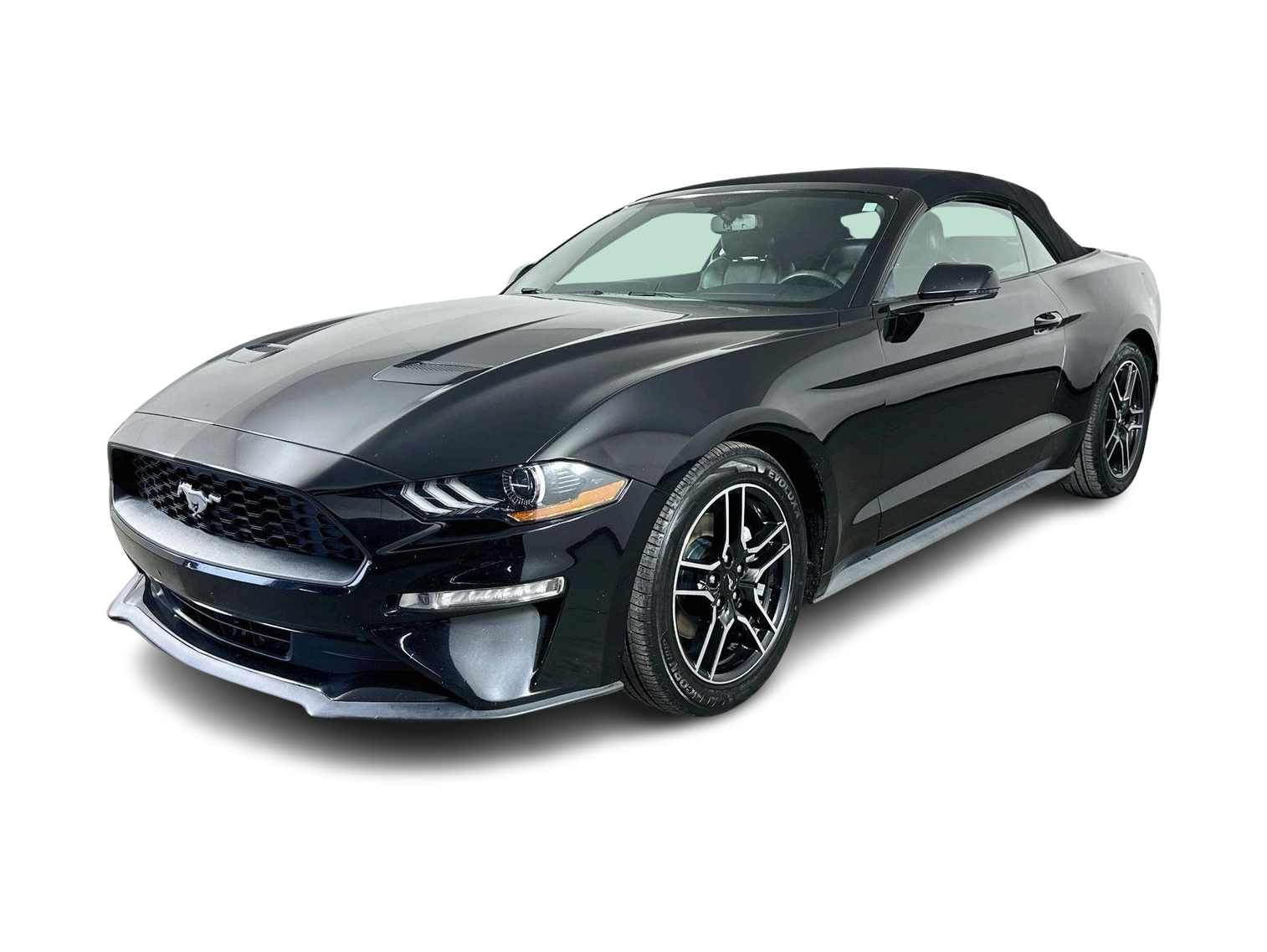 2020 Ford Mustang  -
                  Tampa, FL