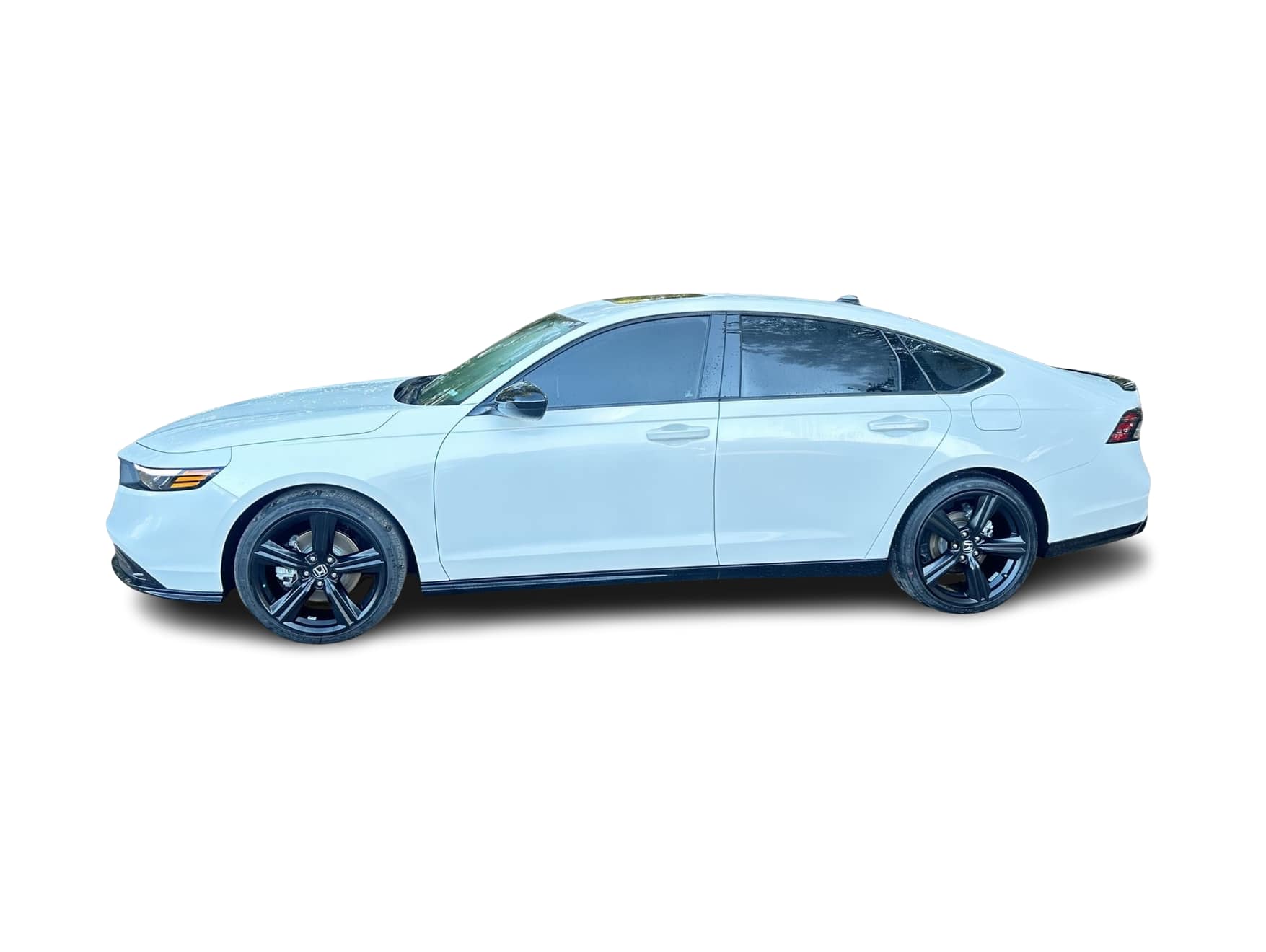 Thumbnail: 2026 Honda Accord - 1