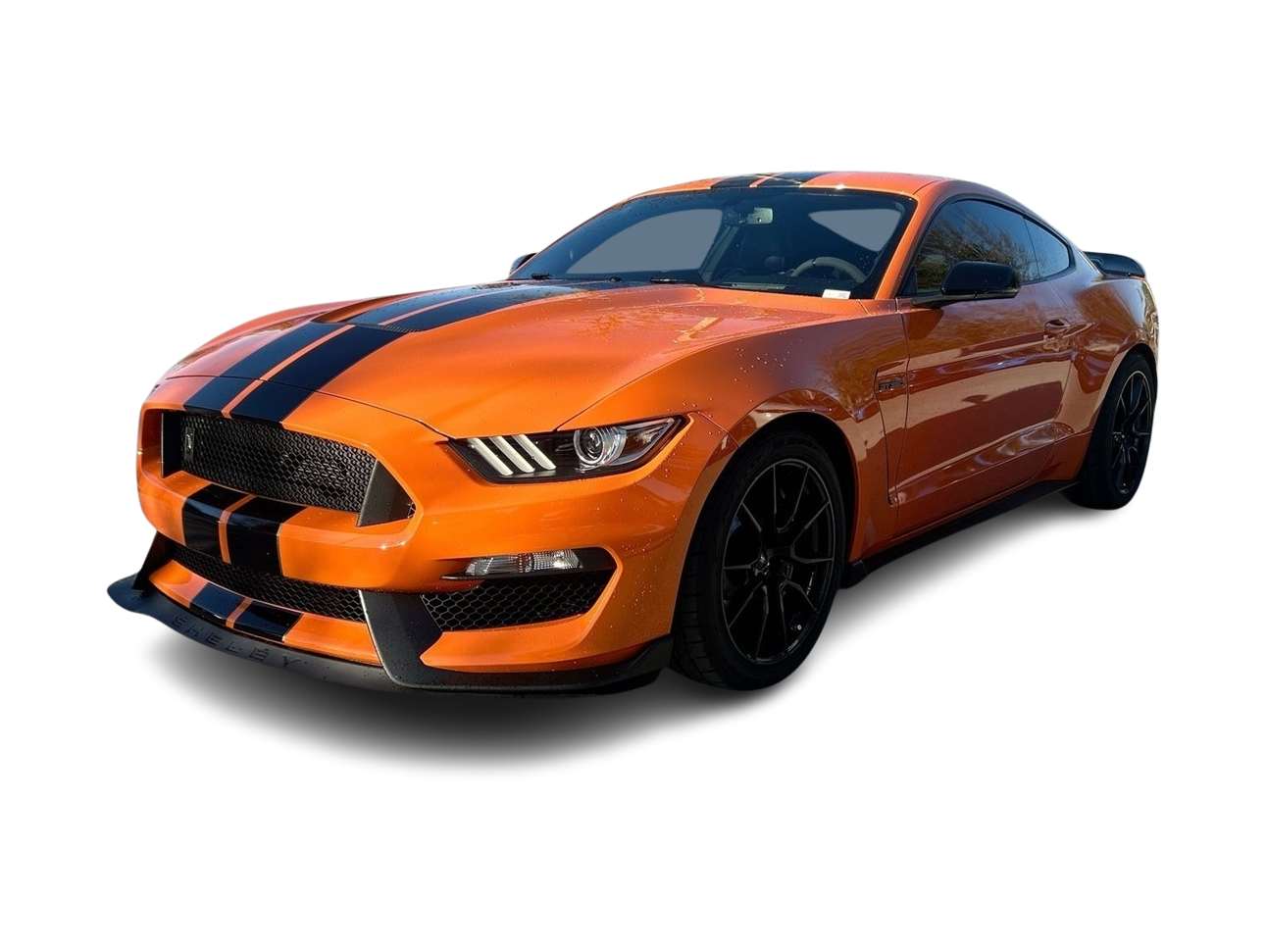 2020 Ford Mustang Shelby GT350 -
                Wesley Chapel, FL