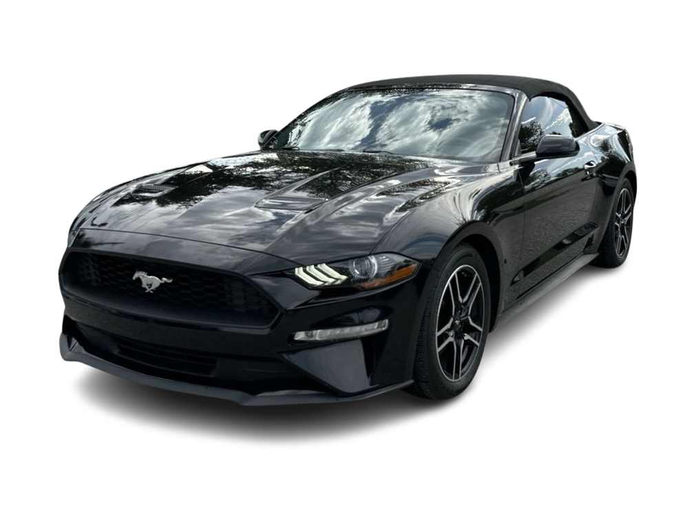 2020 Ford Mustang  -
                  Wesley Chapel, FL
