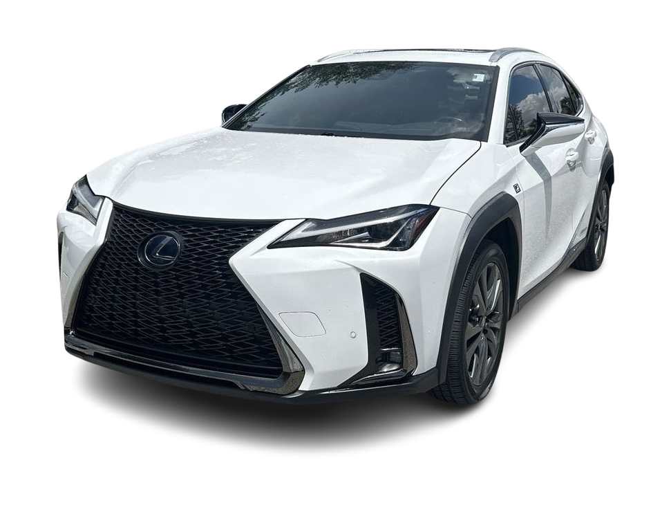 2019 Lexus UX 250h -
                  Wesley Chapel, FL