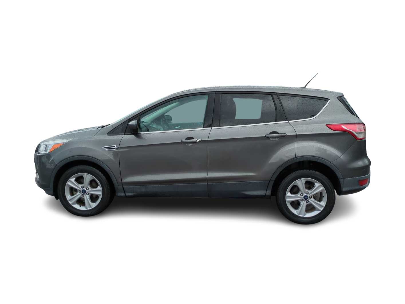2014 Ford Escape SE -
                  Wesley Chapel, FL