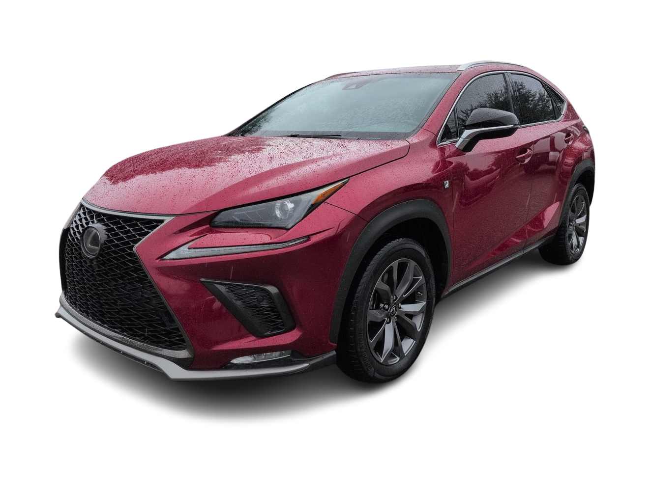 2019 Lexus NX 300 -
                  Wesley Chapel, FL
