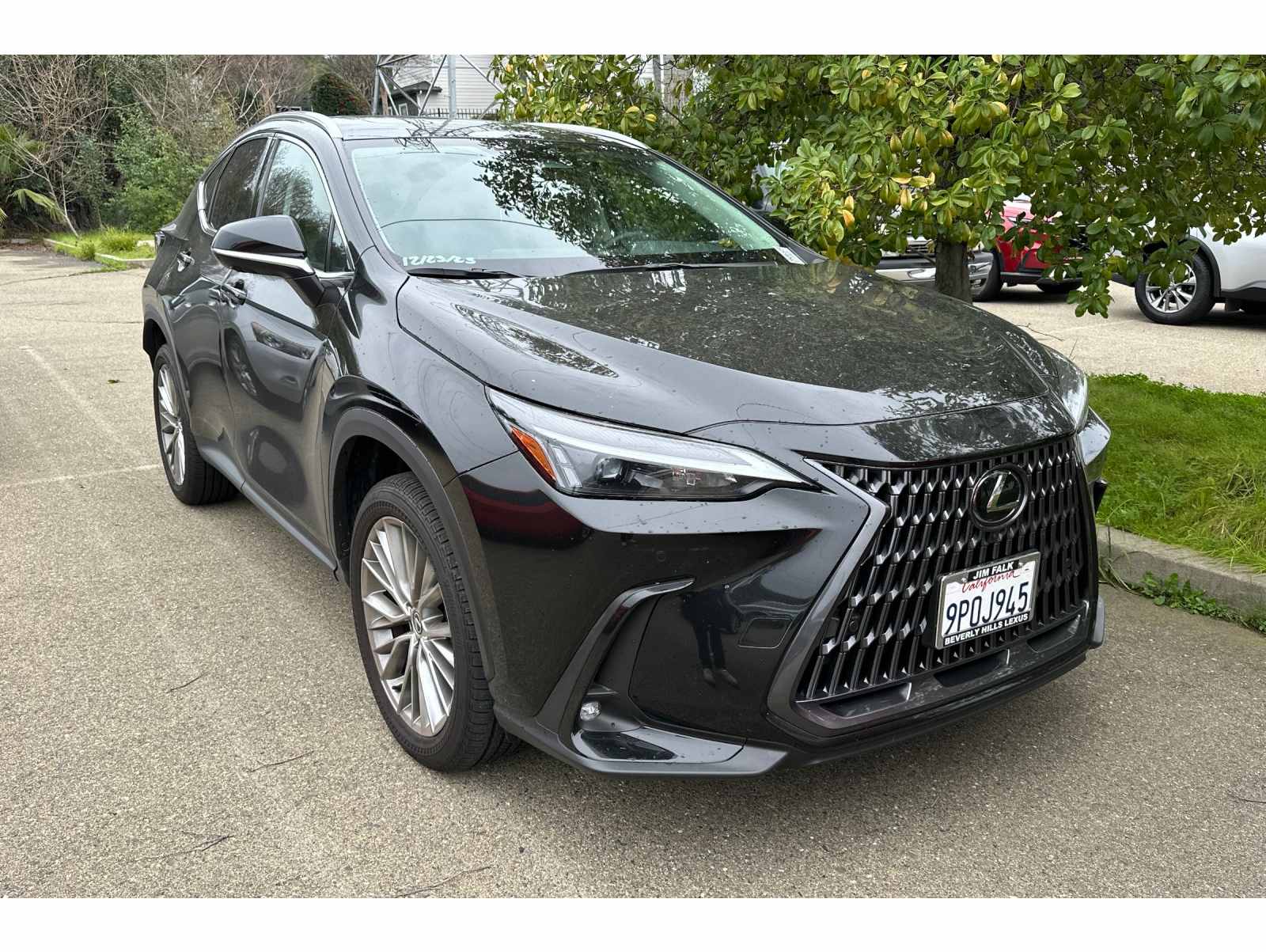 2025 Lexus NX 350's photo