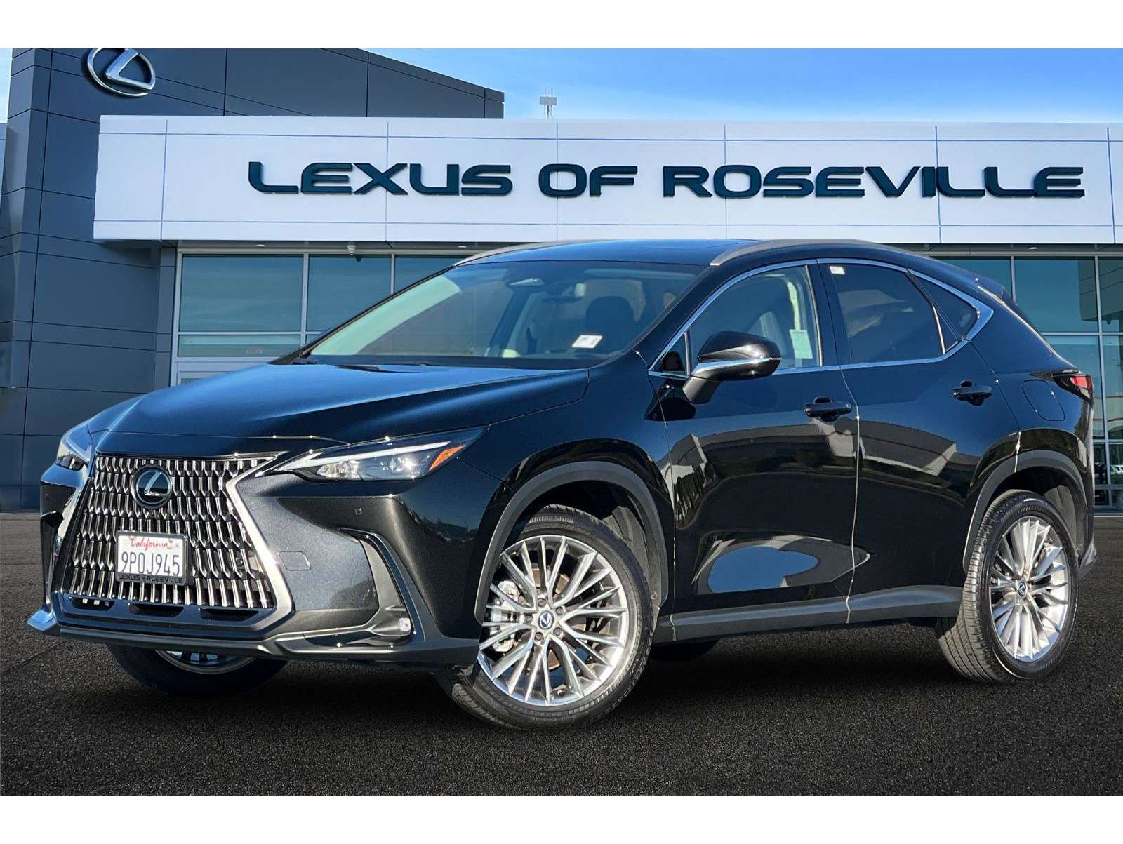 2025 Lexus NX 350's photo