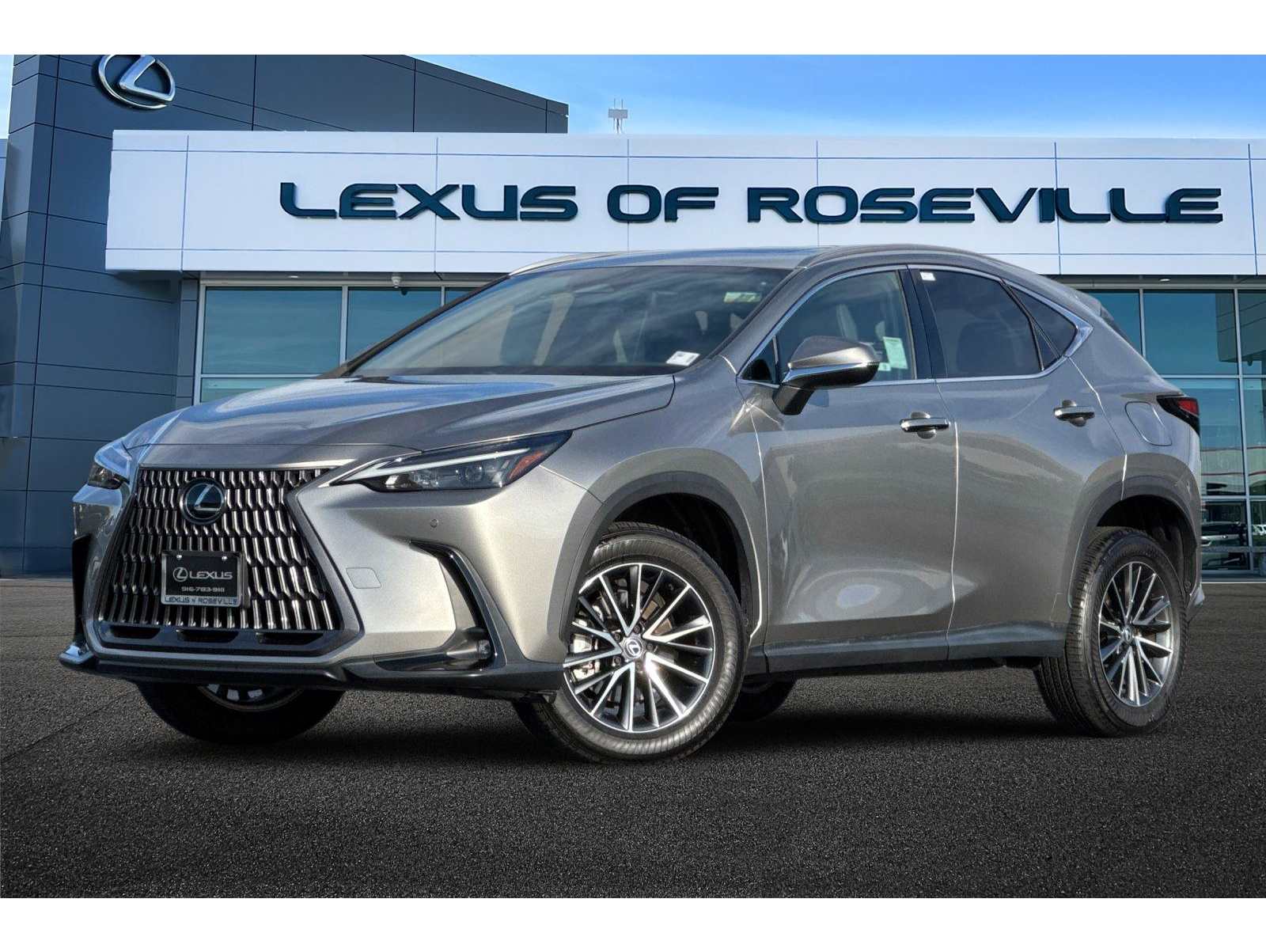 2024 Lexus NX 350's photo