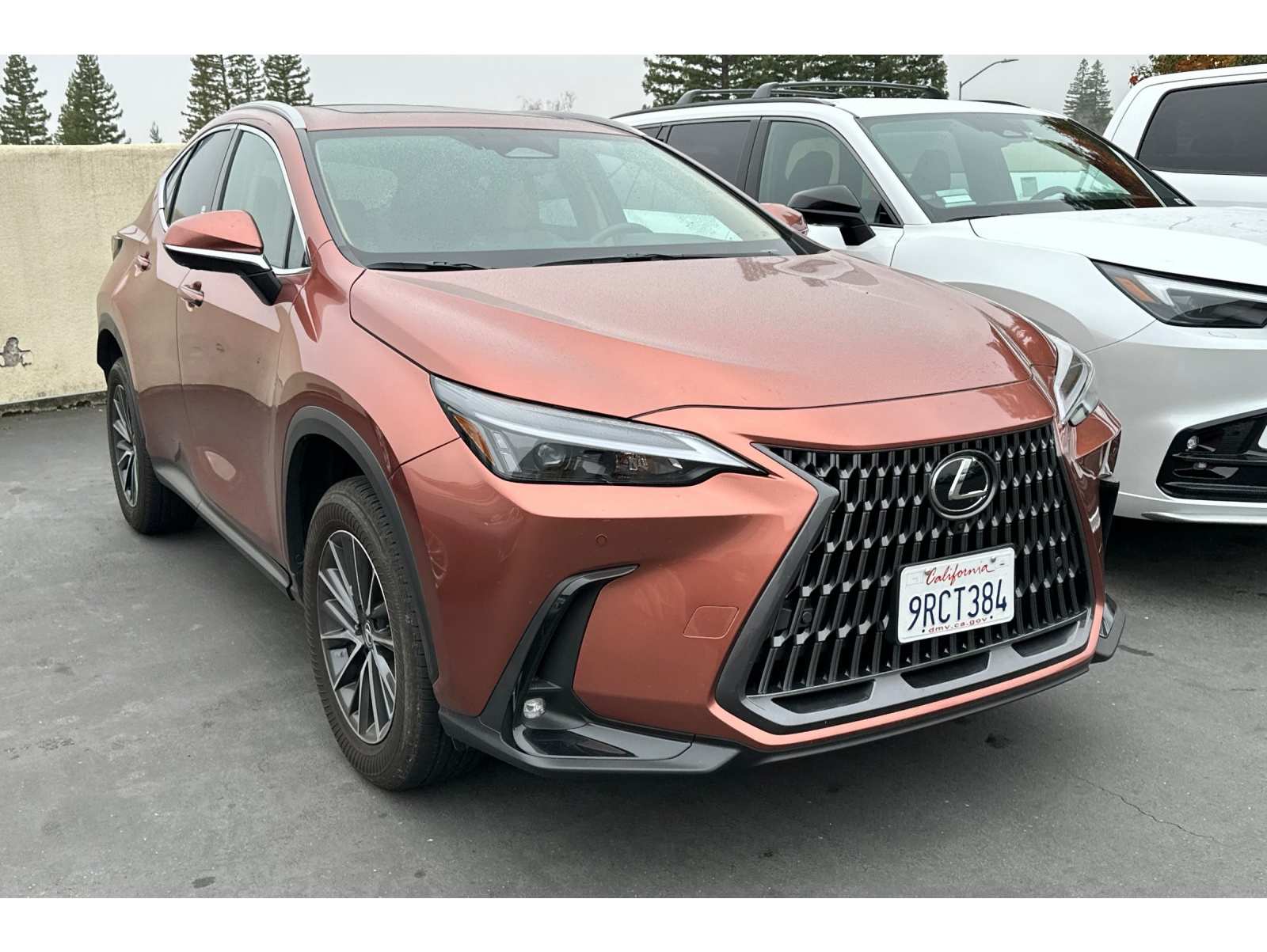 2025 Lexus NX Hybrid 350h's photo