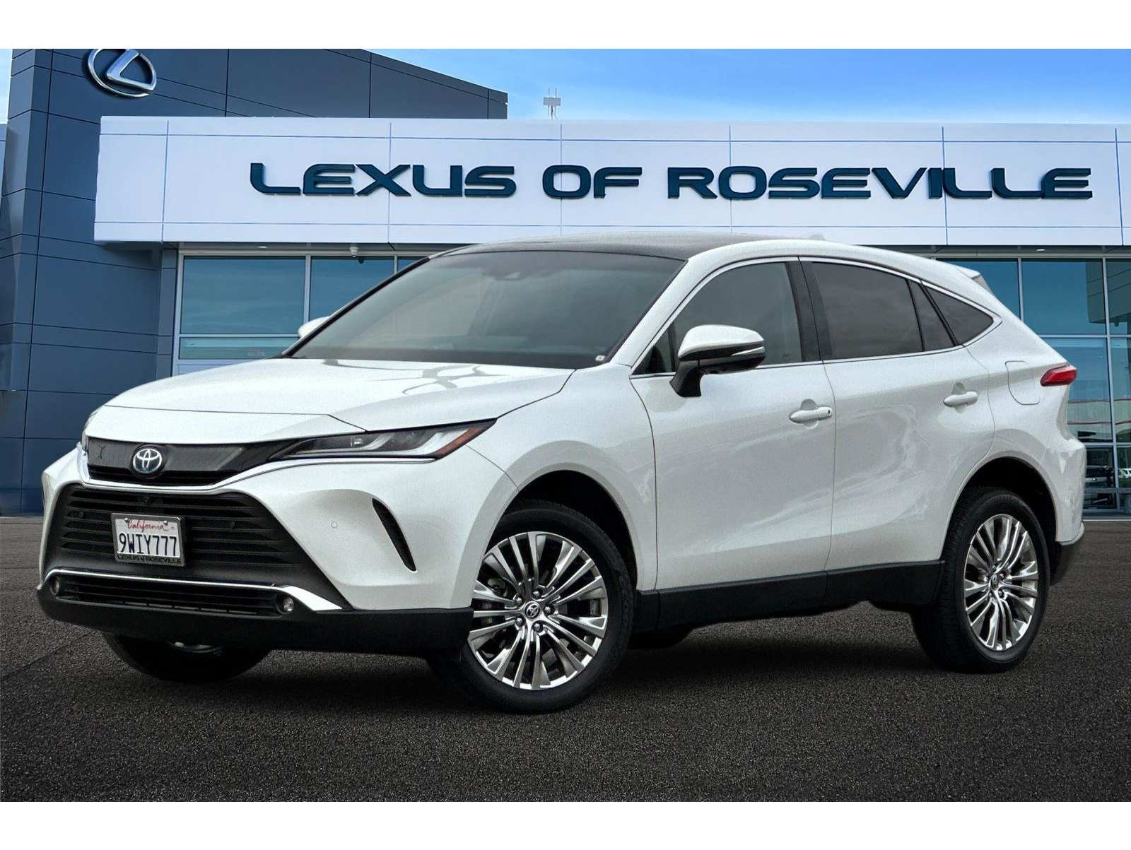 2024 Toyota Venza Limited's photo