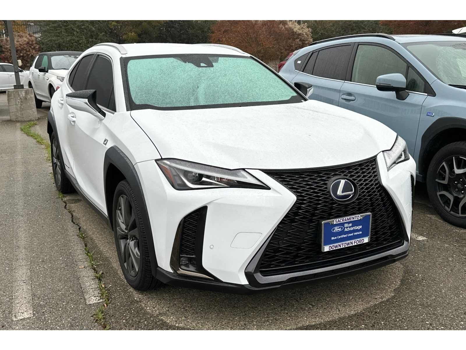 2021 Lexus UX Hybrid 250h F SPORT's photo
