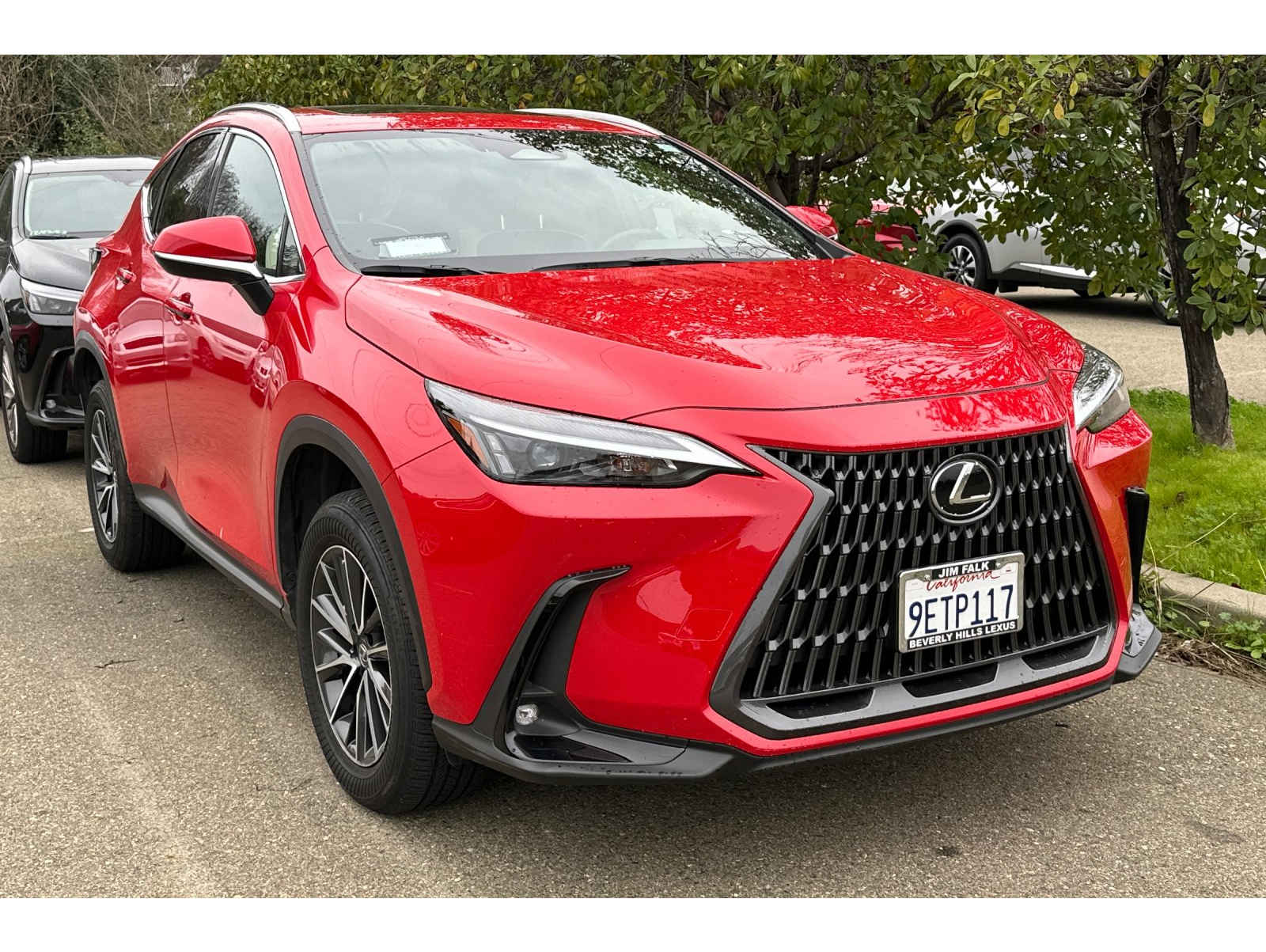 2023 Lexus NX Hybrid 350h's photo