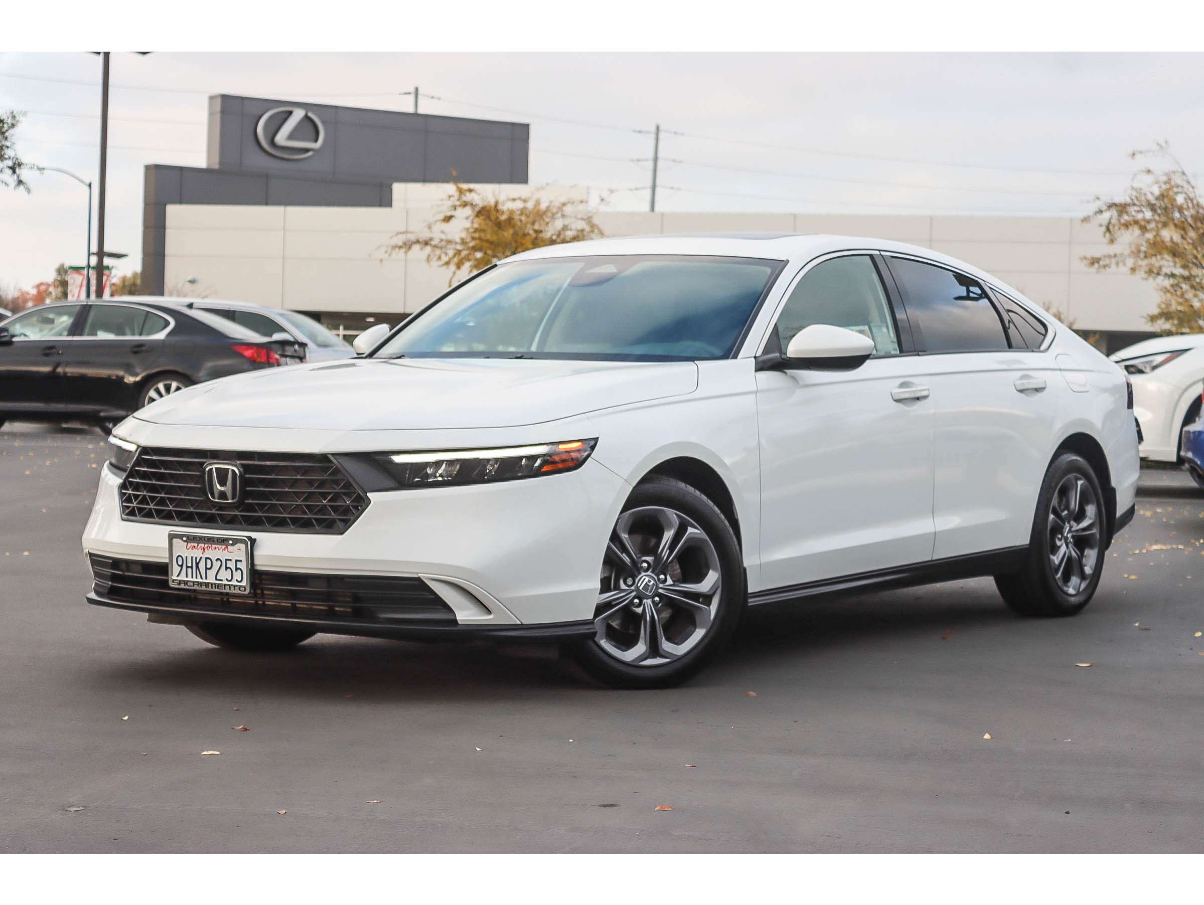 2023 Honda Accord EX's photo