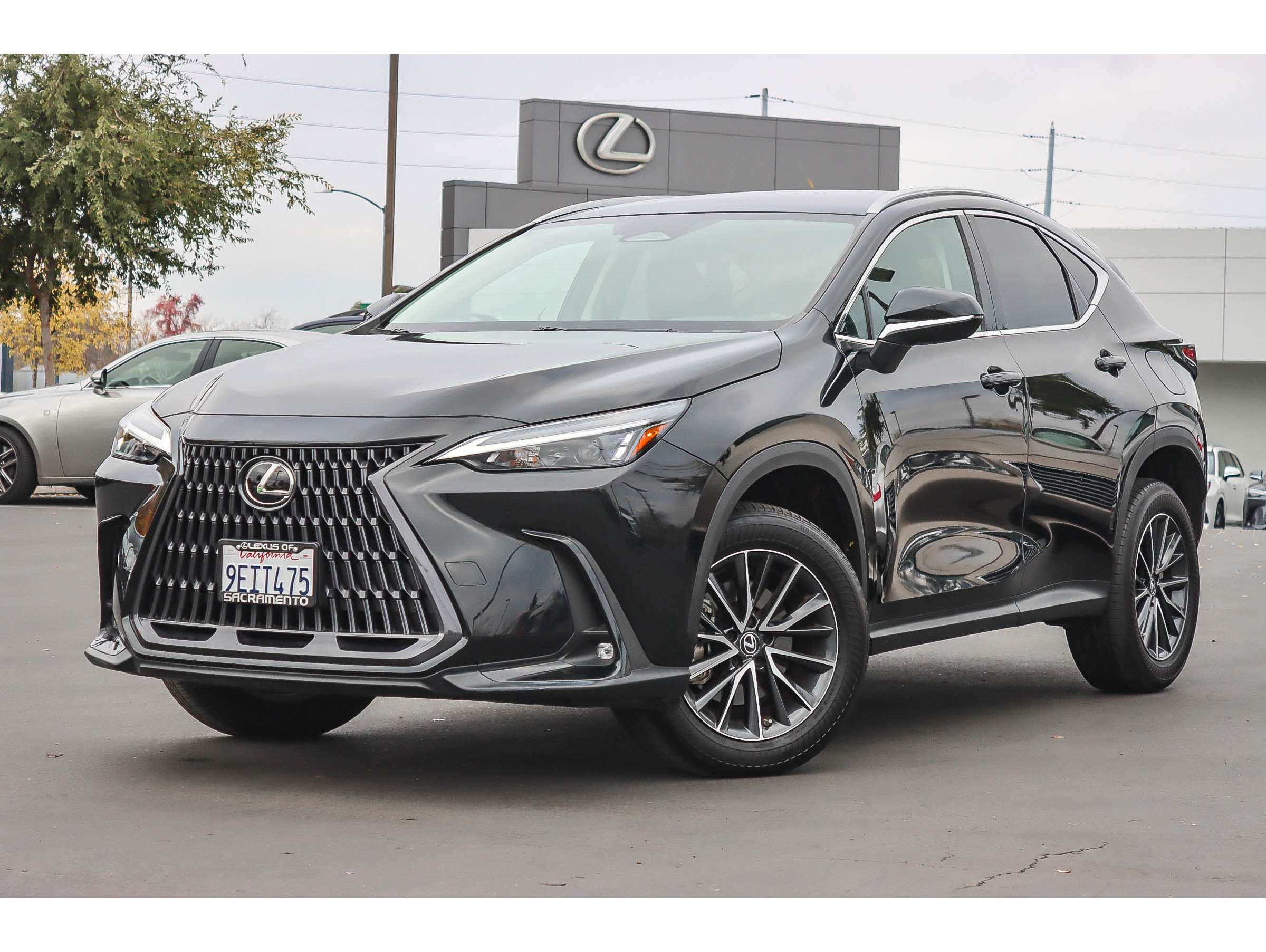 2023 Lexus NX 250's photo