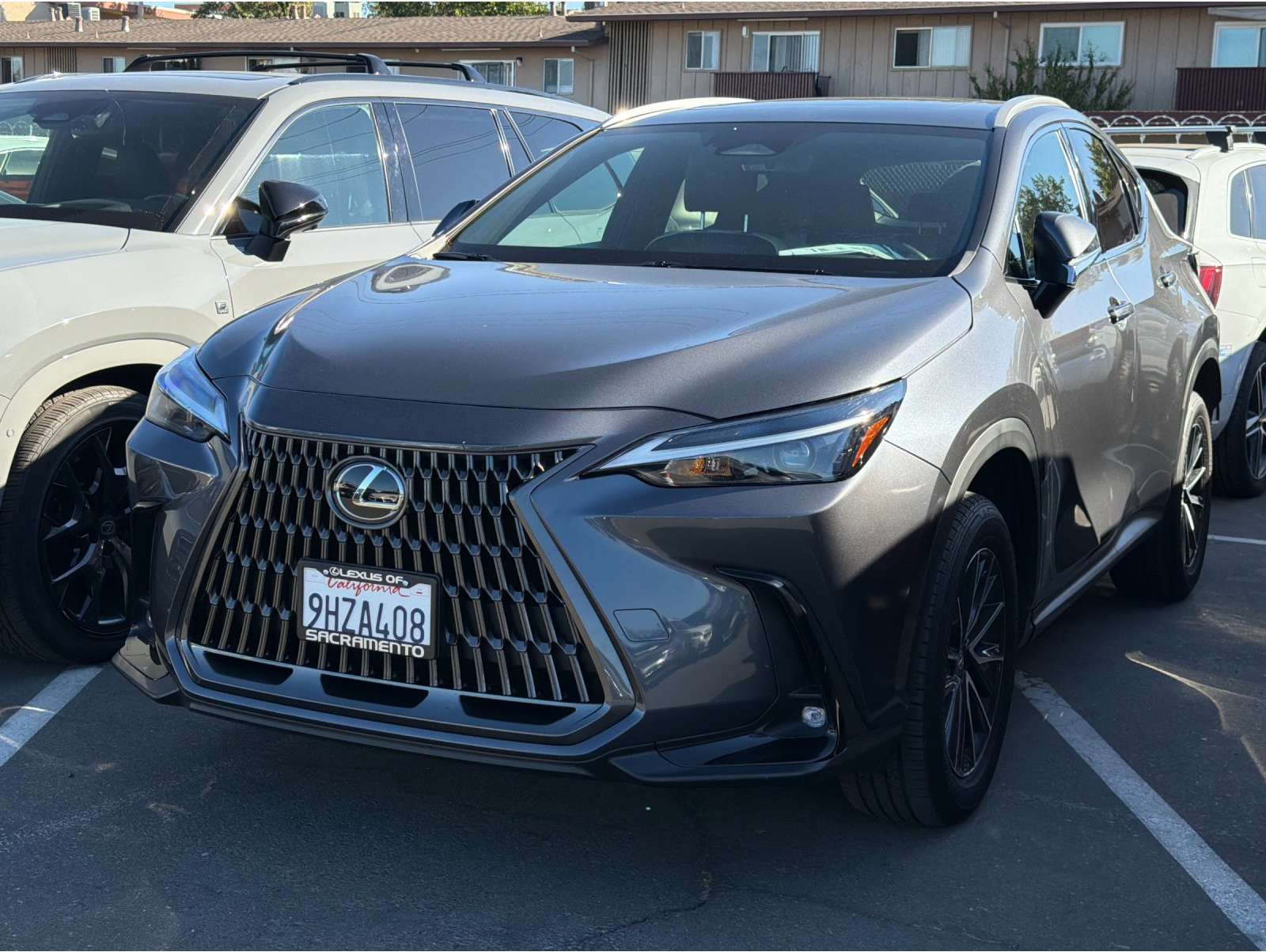 2024 Lexus NX