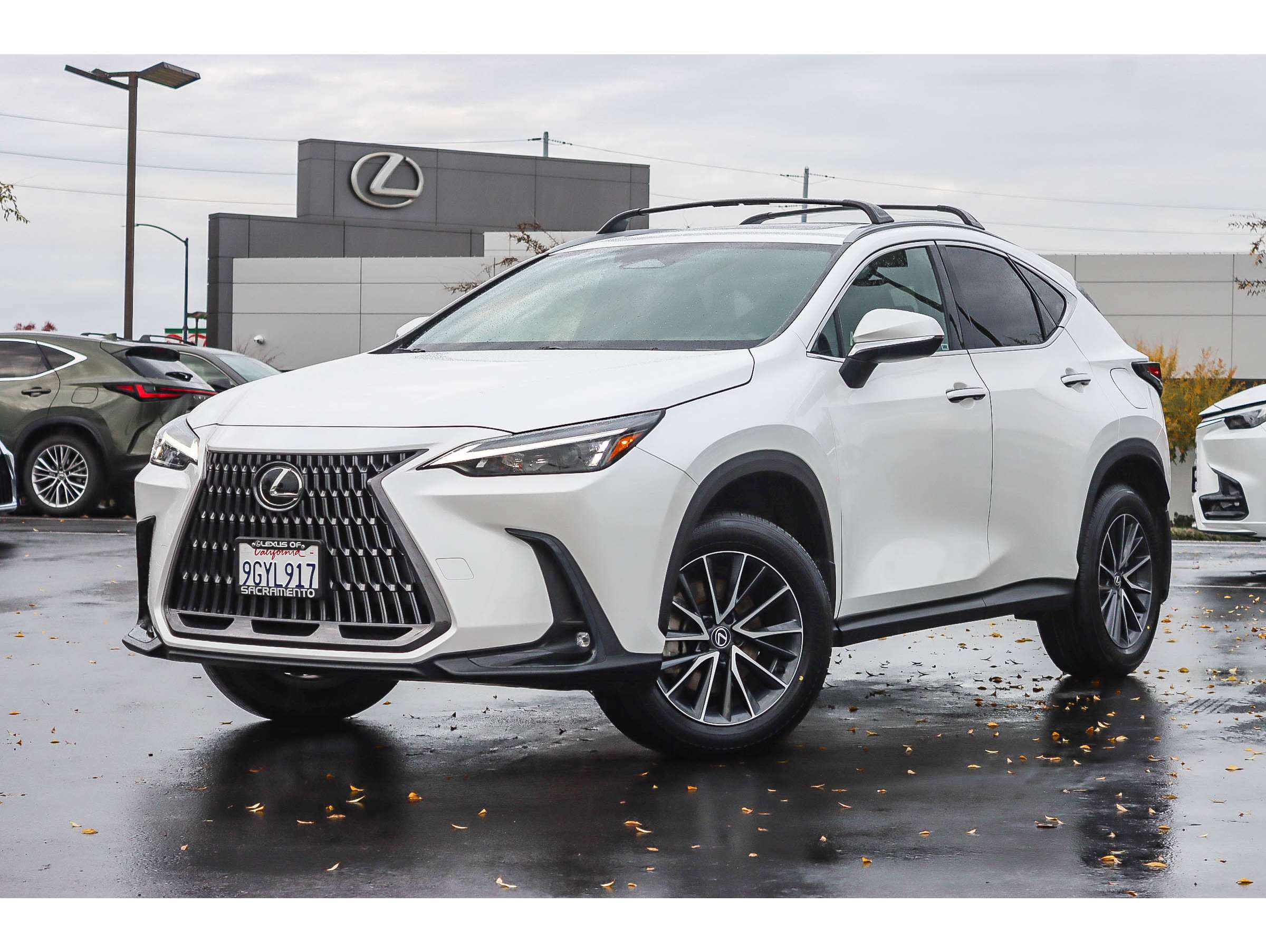 2024 Lexus NX Hybrid 350h's photo