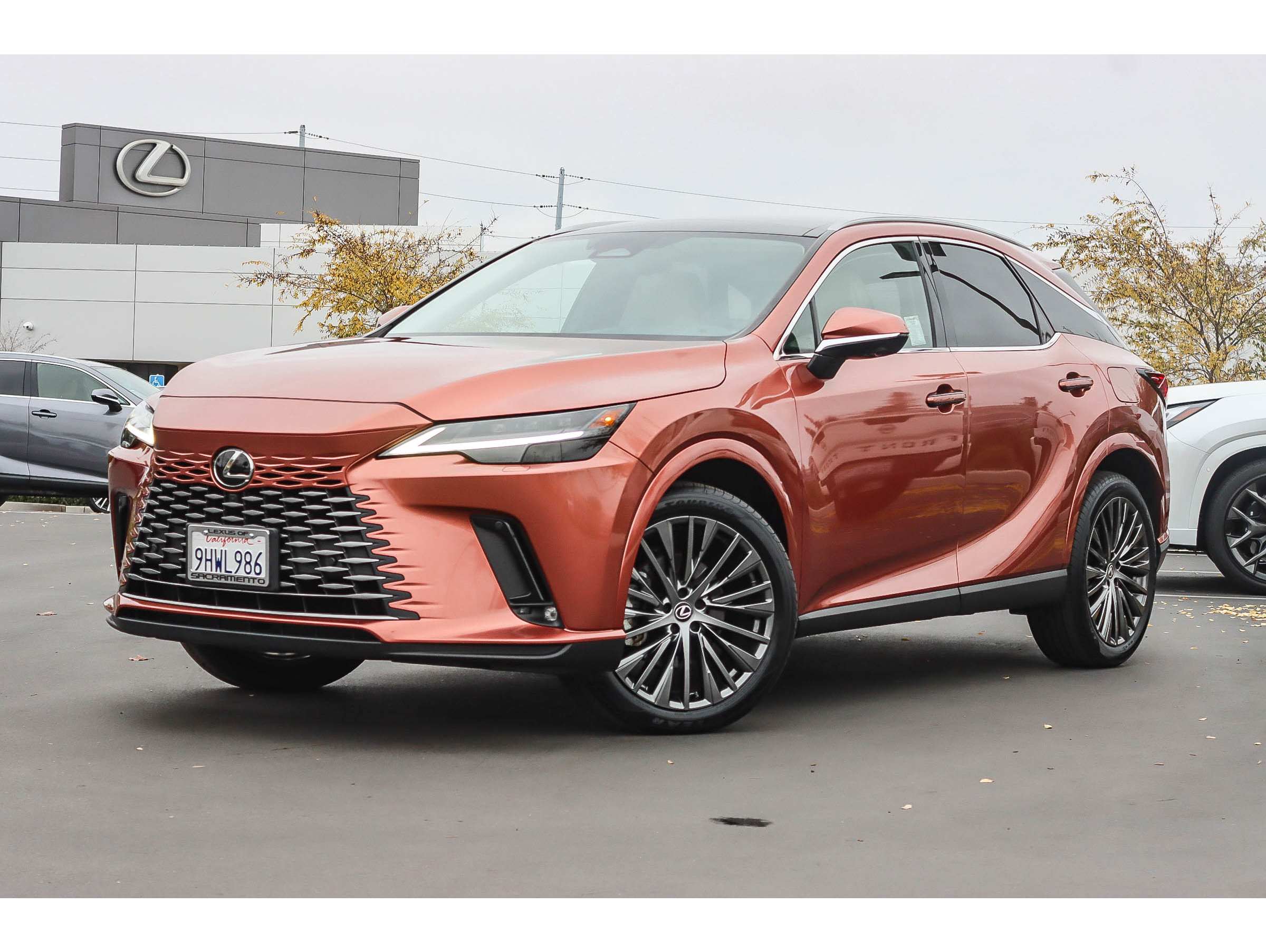 2023 Lexus RX 350's photo