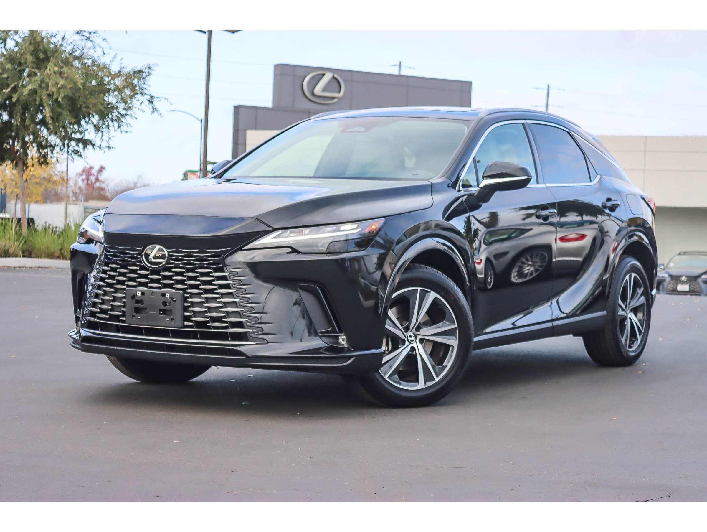 2023 Lexus RX 350's photo